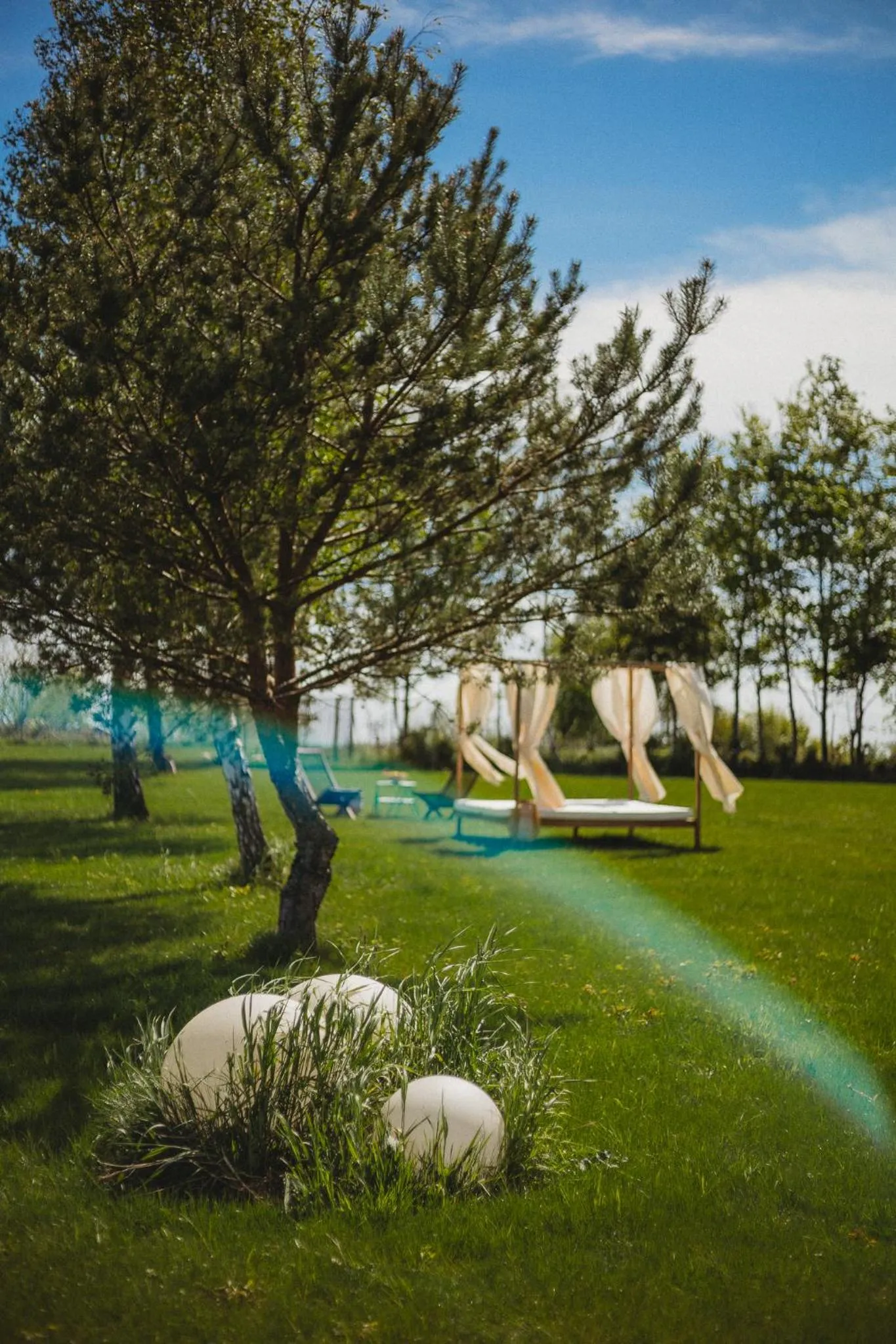 Garden in Apartamenty Rodzinne Plater74