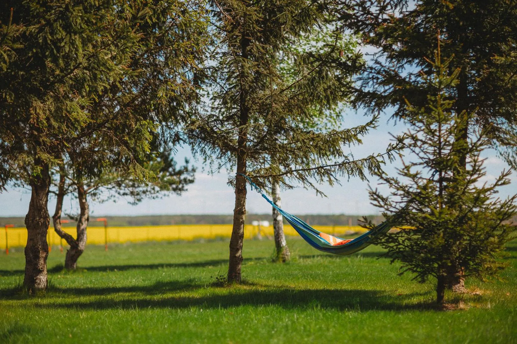 Natural landscape in Apartamenty Rodzinne Plater74