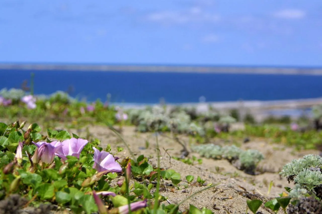 Off site in Terrace Inn Katsuta