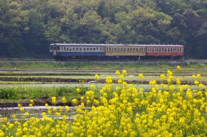 Nearby landmark in Terrace Inn Katsuta