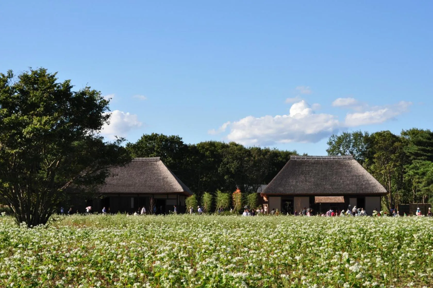 Nearby landmark in Terrace Inn Katsuta