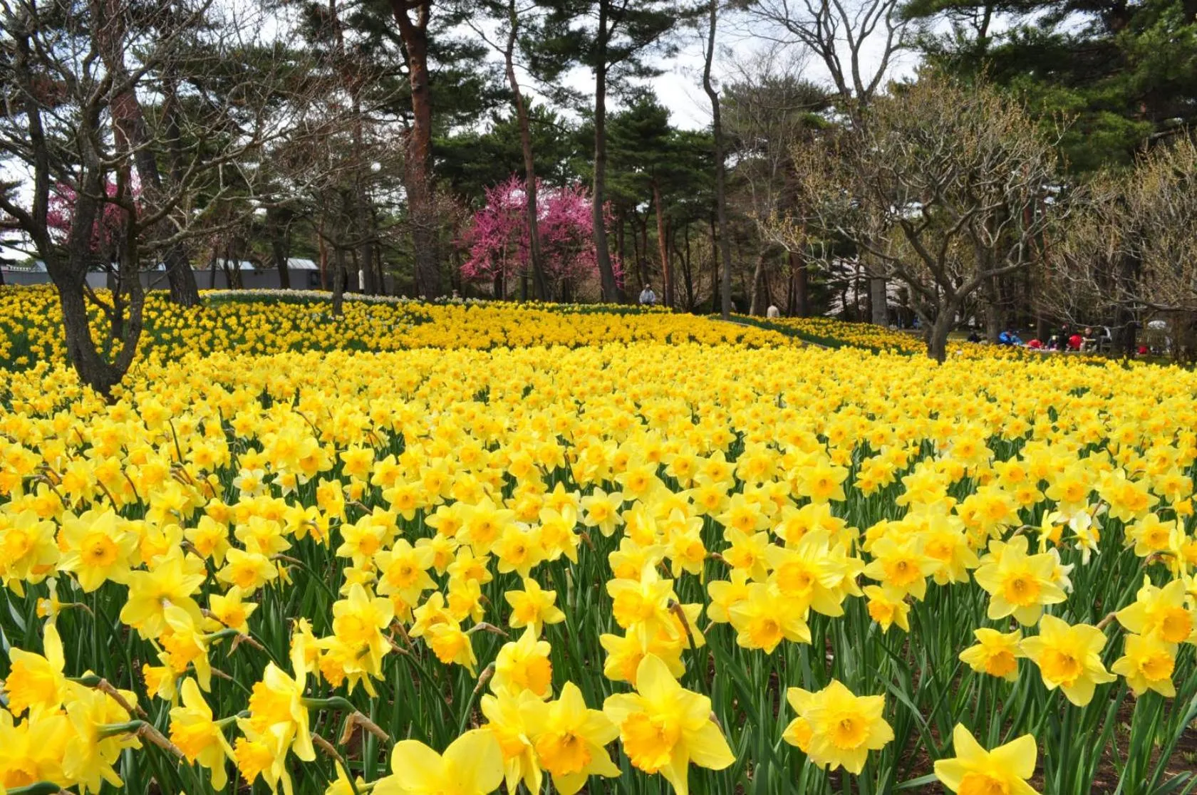 Nearby landmark in Terrace Inn Katsuta