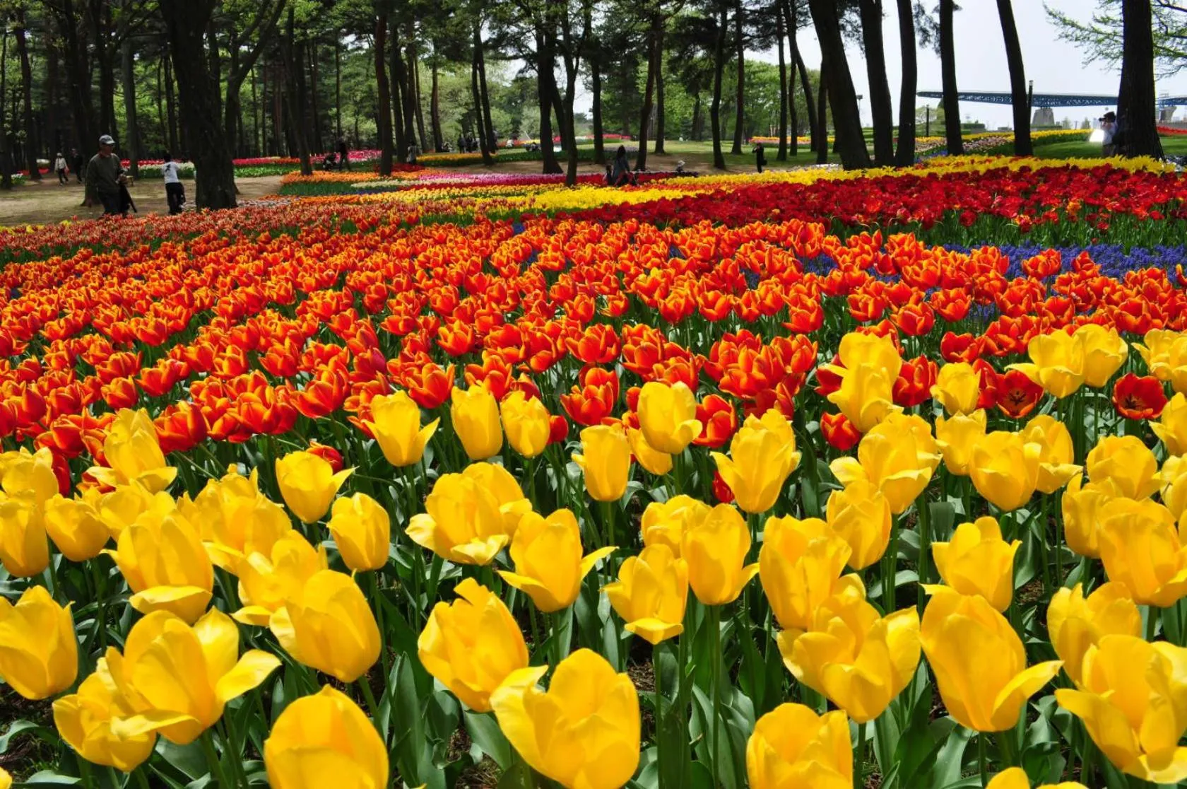 Nearby landmark in Terrace Inn Katsuta