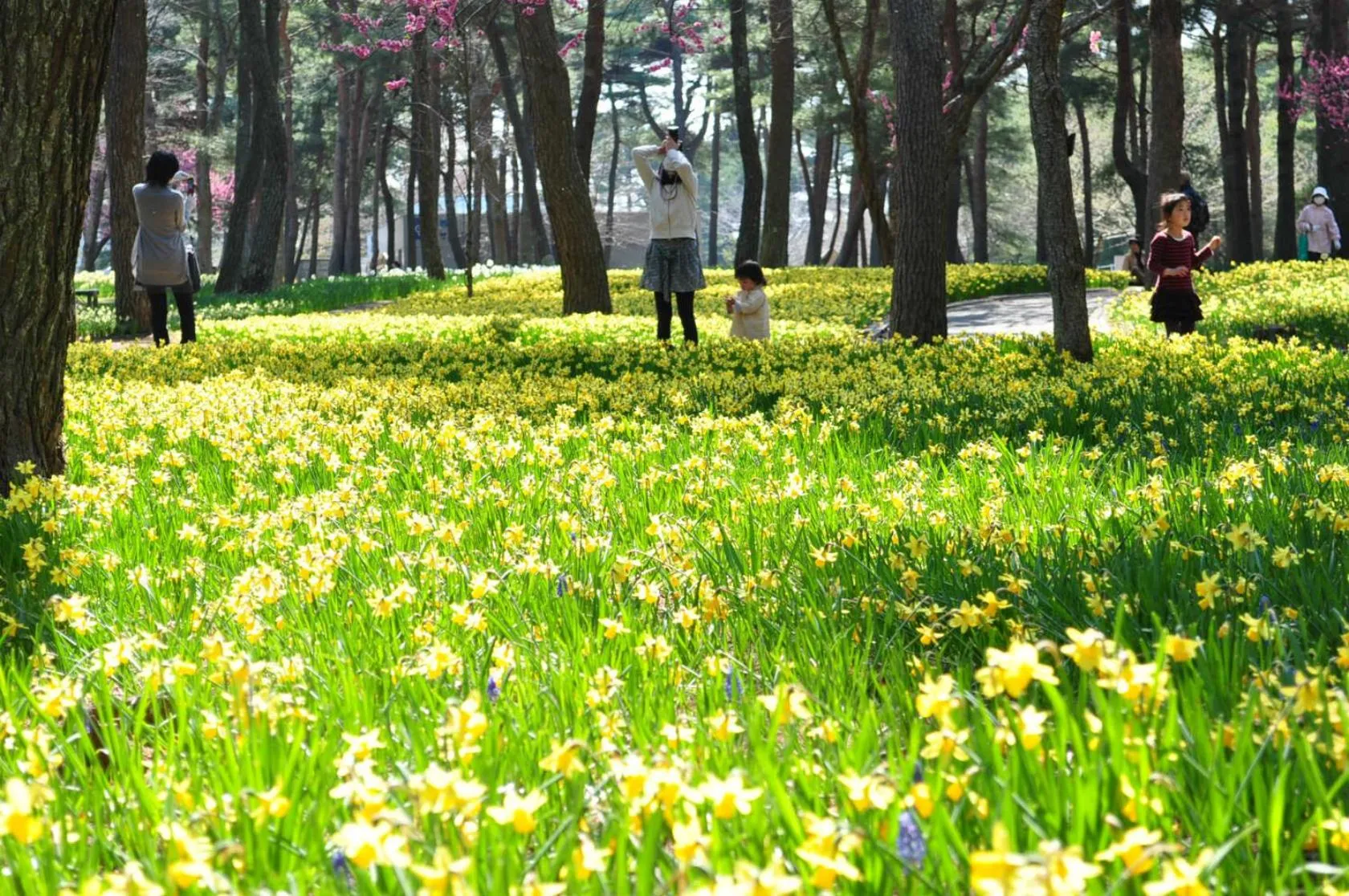 Nearby landmark in Terrace Inn Katsuta