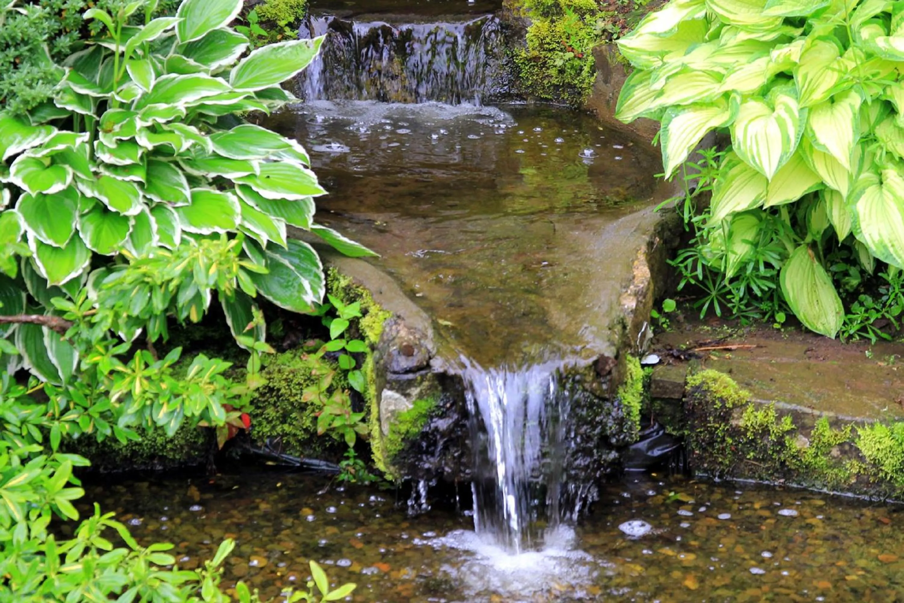 Garden in Westacre Bed & Breakfast