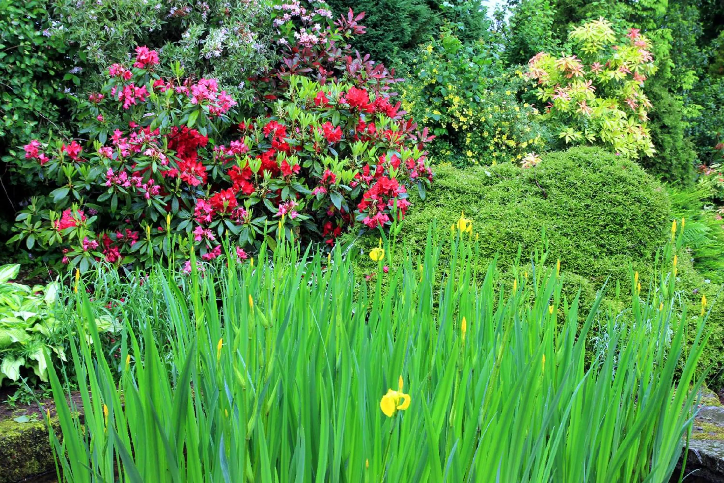 Garden in Westacre Bed & Breakfast