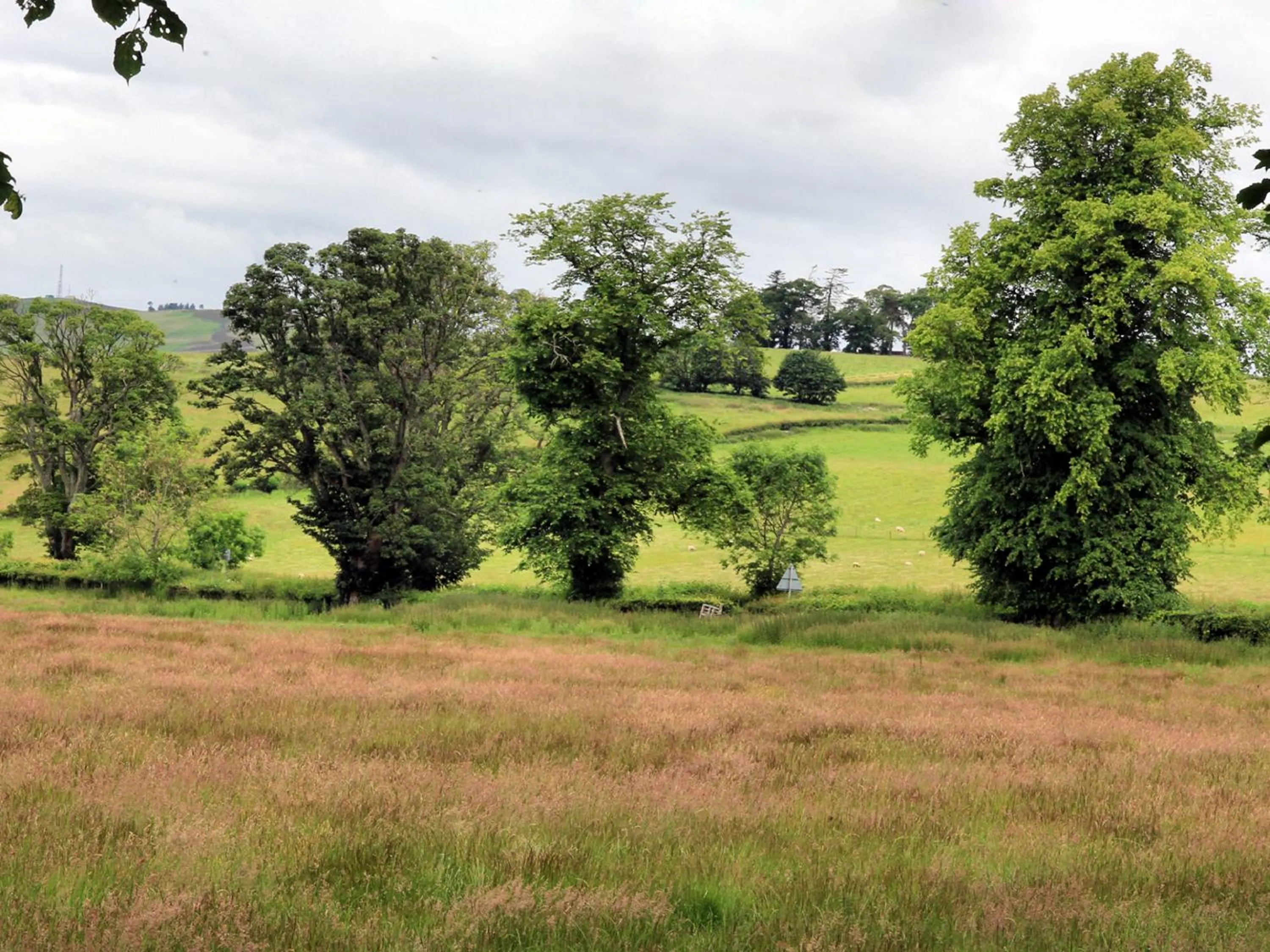 Natural landscape in Westacre Bed & Breakfast
