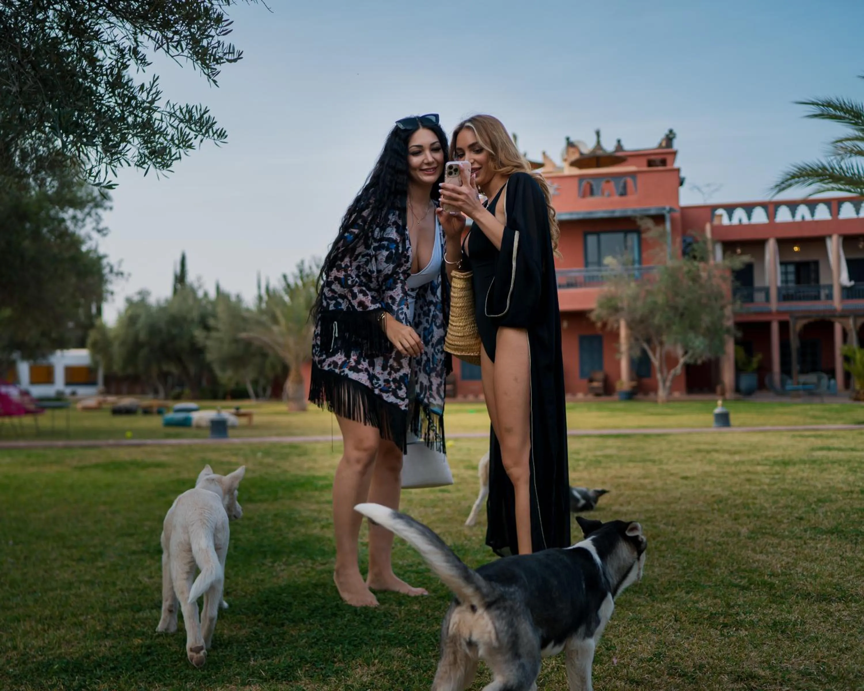 SOBOL Le Chant des Oliviers