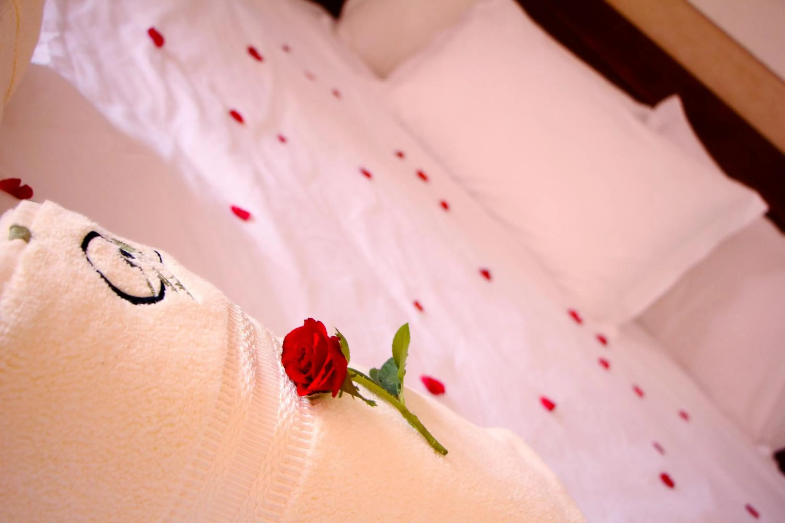 Property building in SOBOL Le Chant des Oliviers