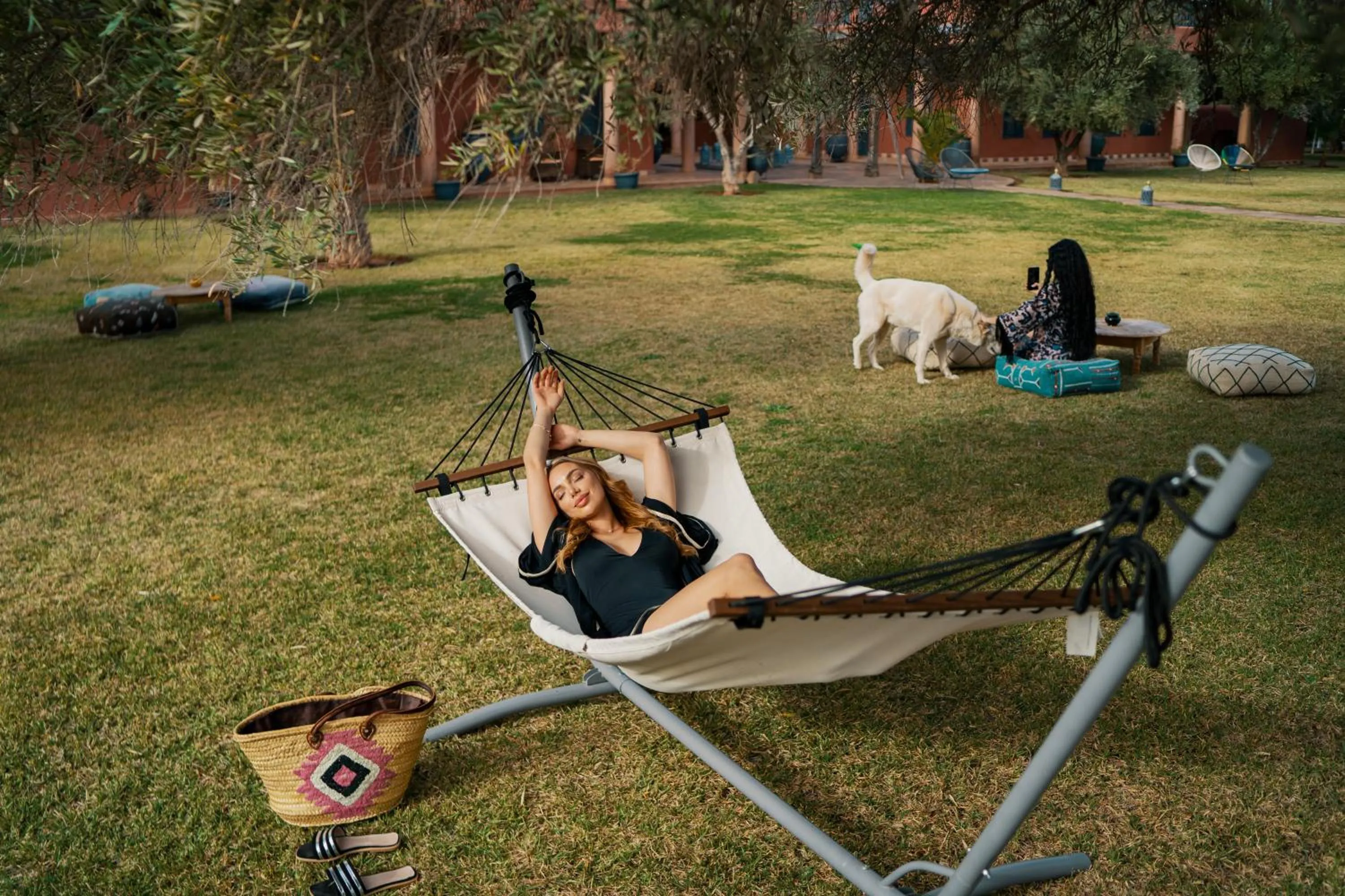 SOBOL Le Chant des Oliviers