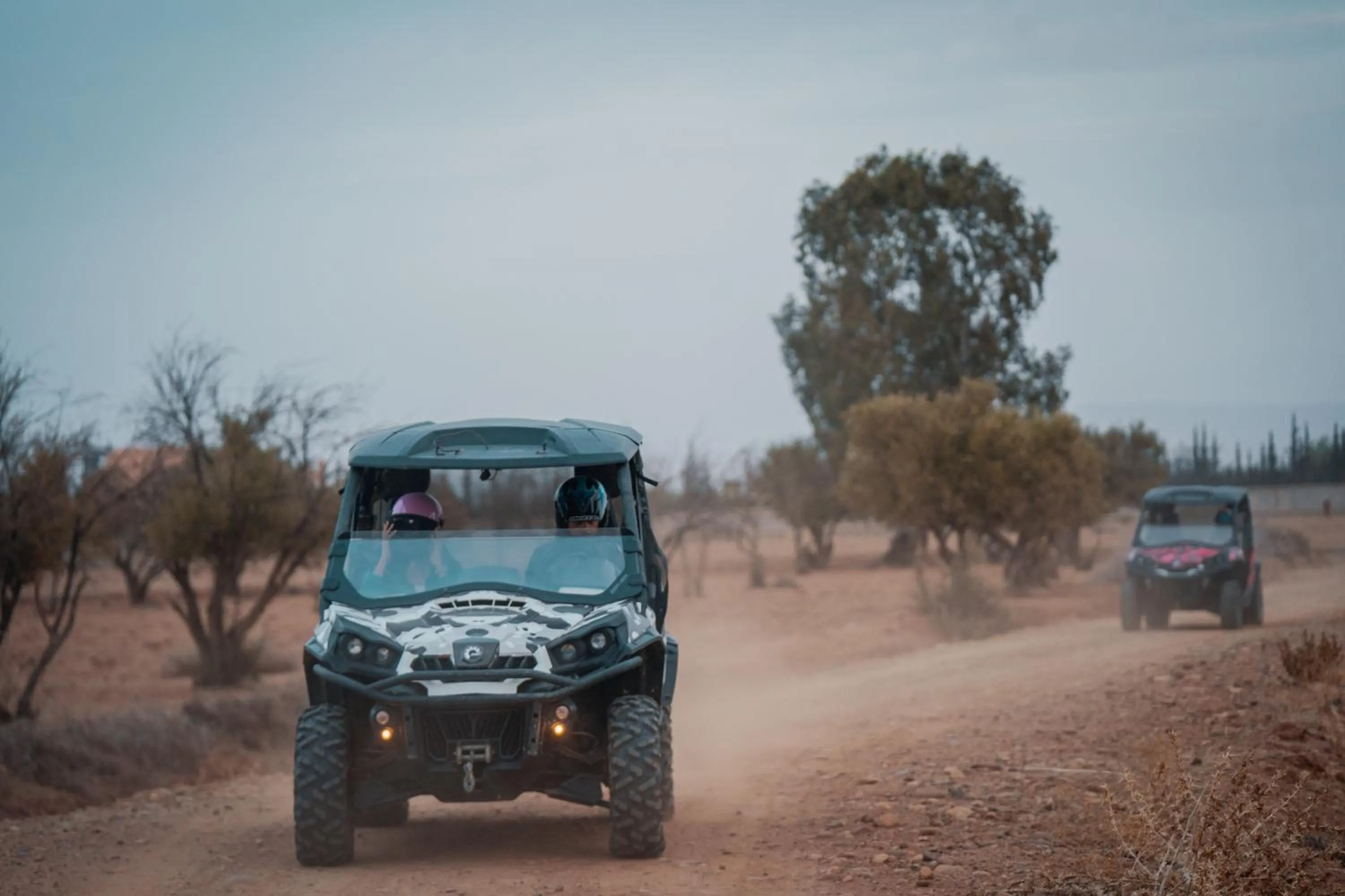 Activities in SOBOL Le Chant des Oliviers