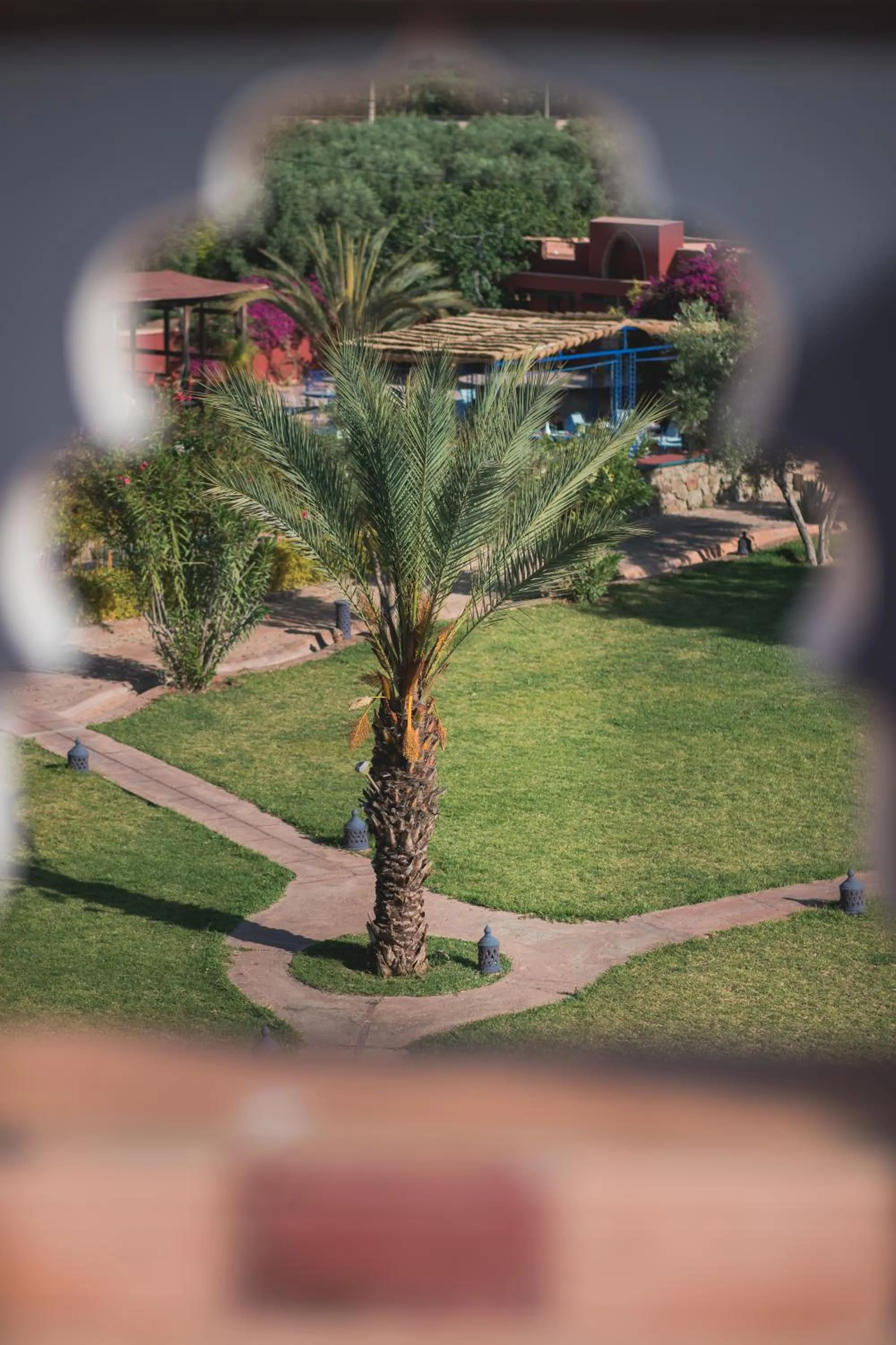 Natural landscape in SOBOL Le Chant des Oliviers