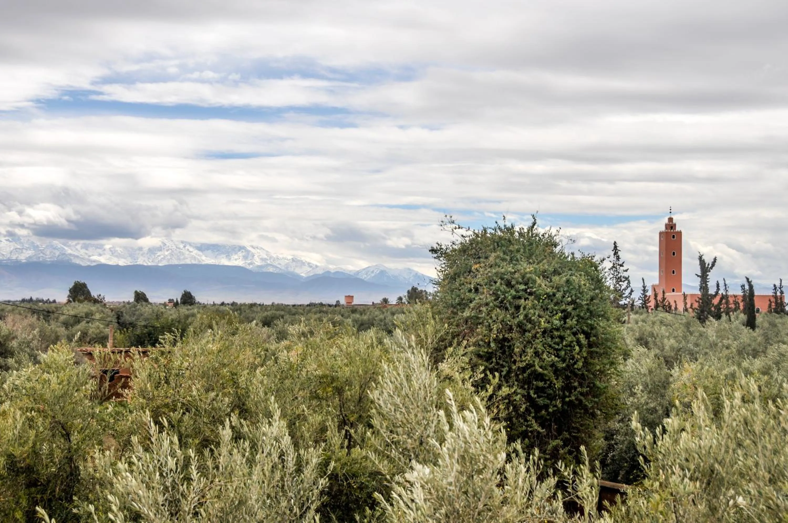 Garden in SOBOL Le Chant des Oliviers