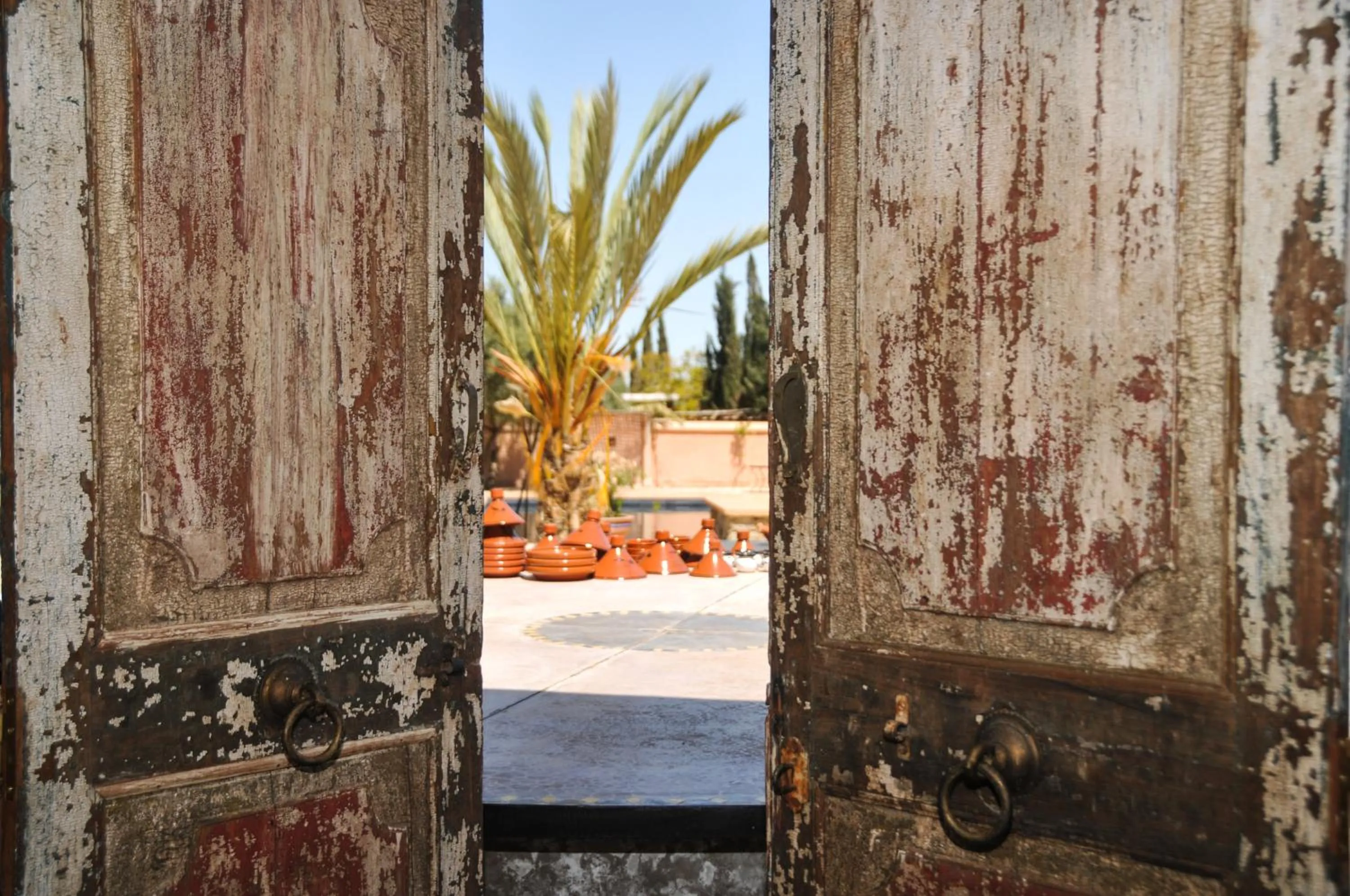 Decorative detail in SOBOL Le Chant des Oliviers