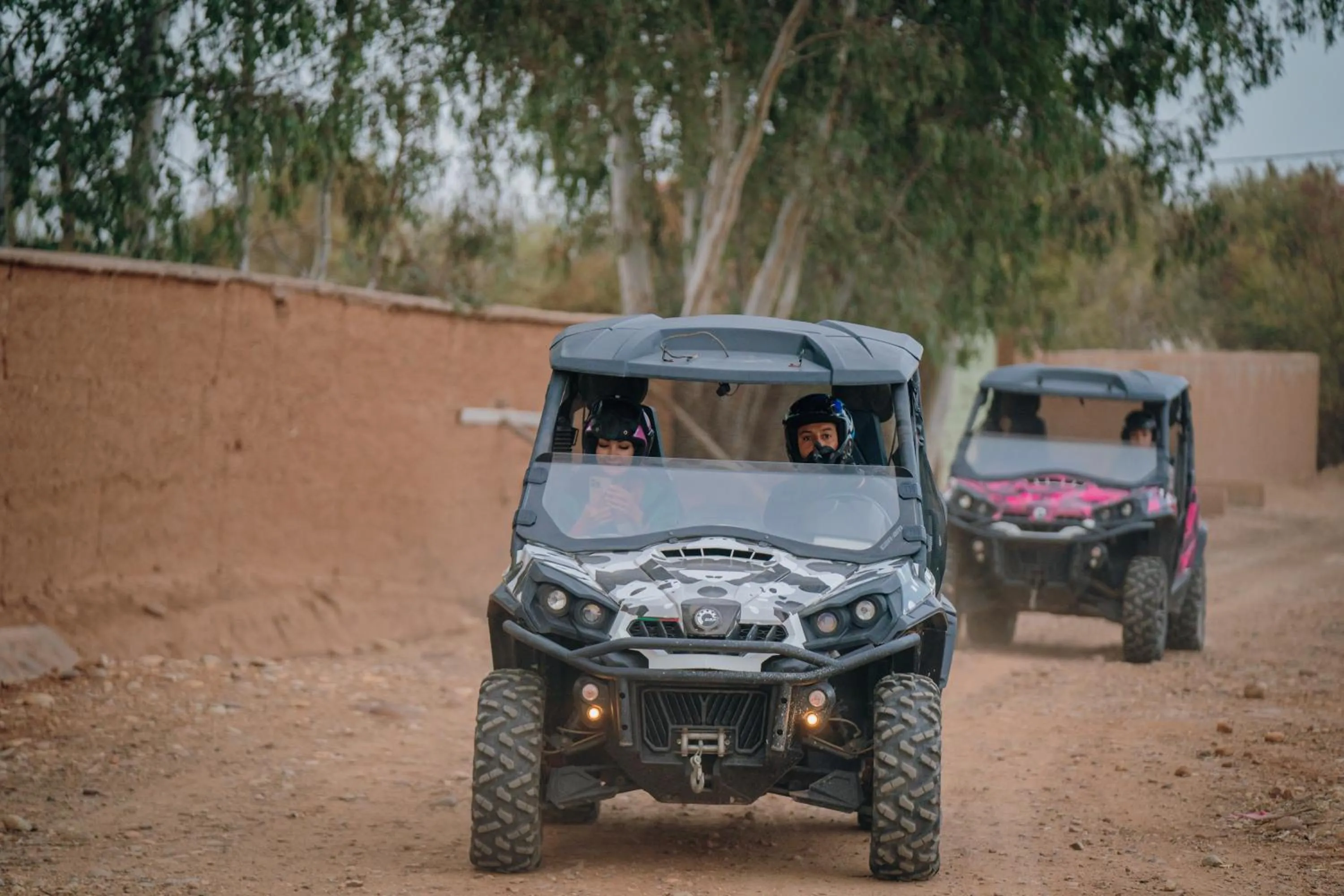 SOBOL Le Chant des Oliviers