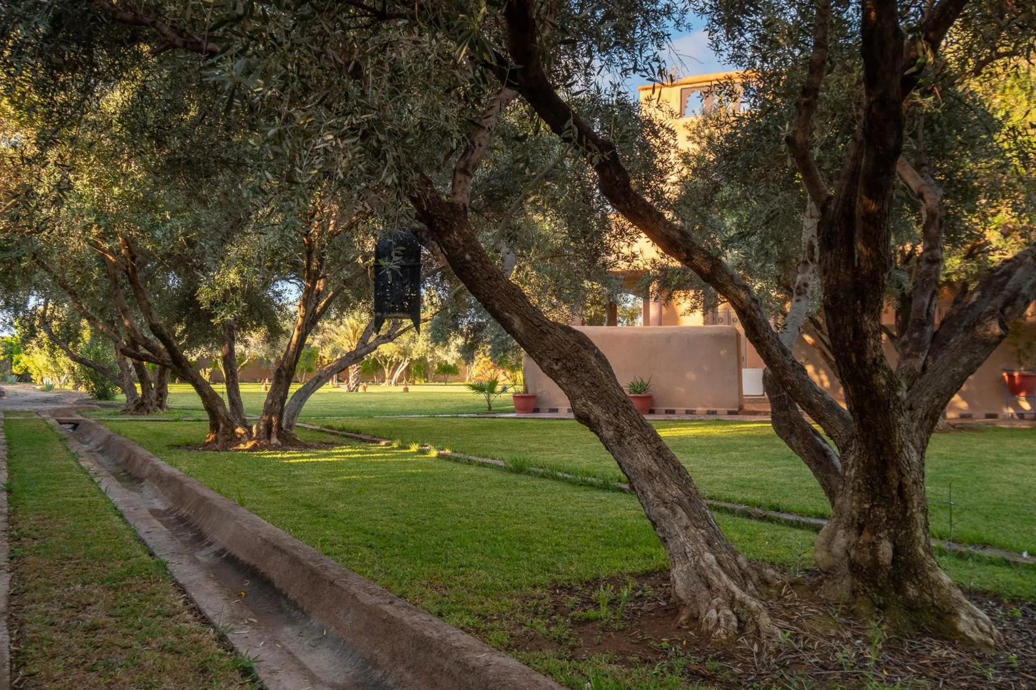 Day in SOBOL Le Chant des Oliviers