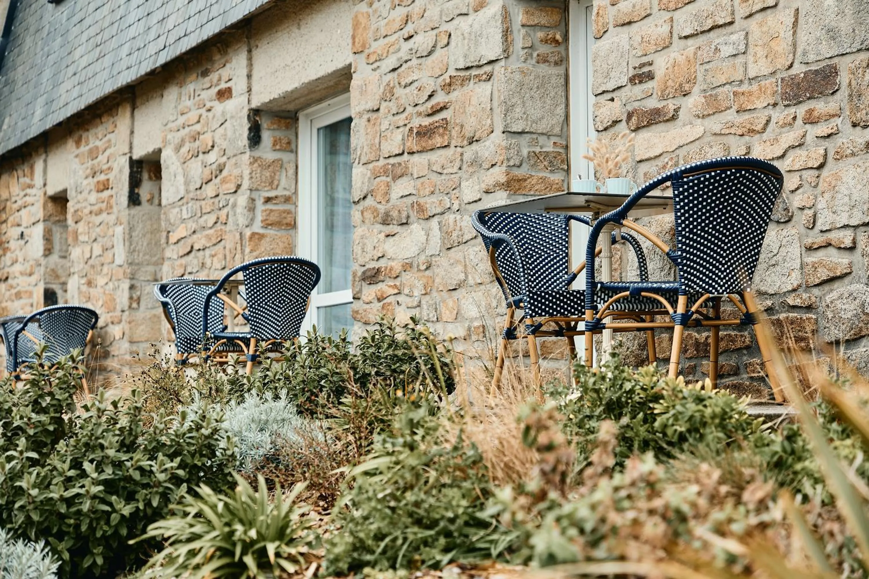 Garden in Hôtel de la Mer & Spa