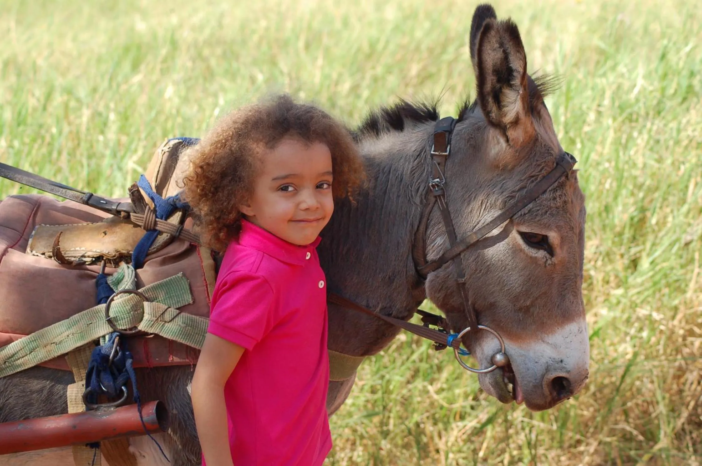 People in Chaminuka Lodge