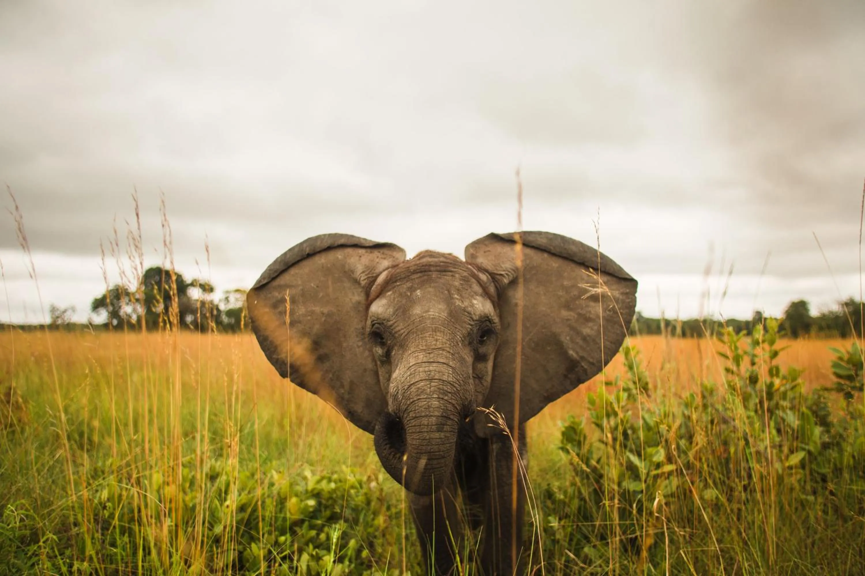 Activities in Chaminuka Lodge