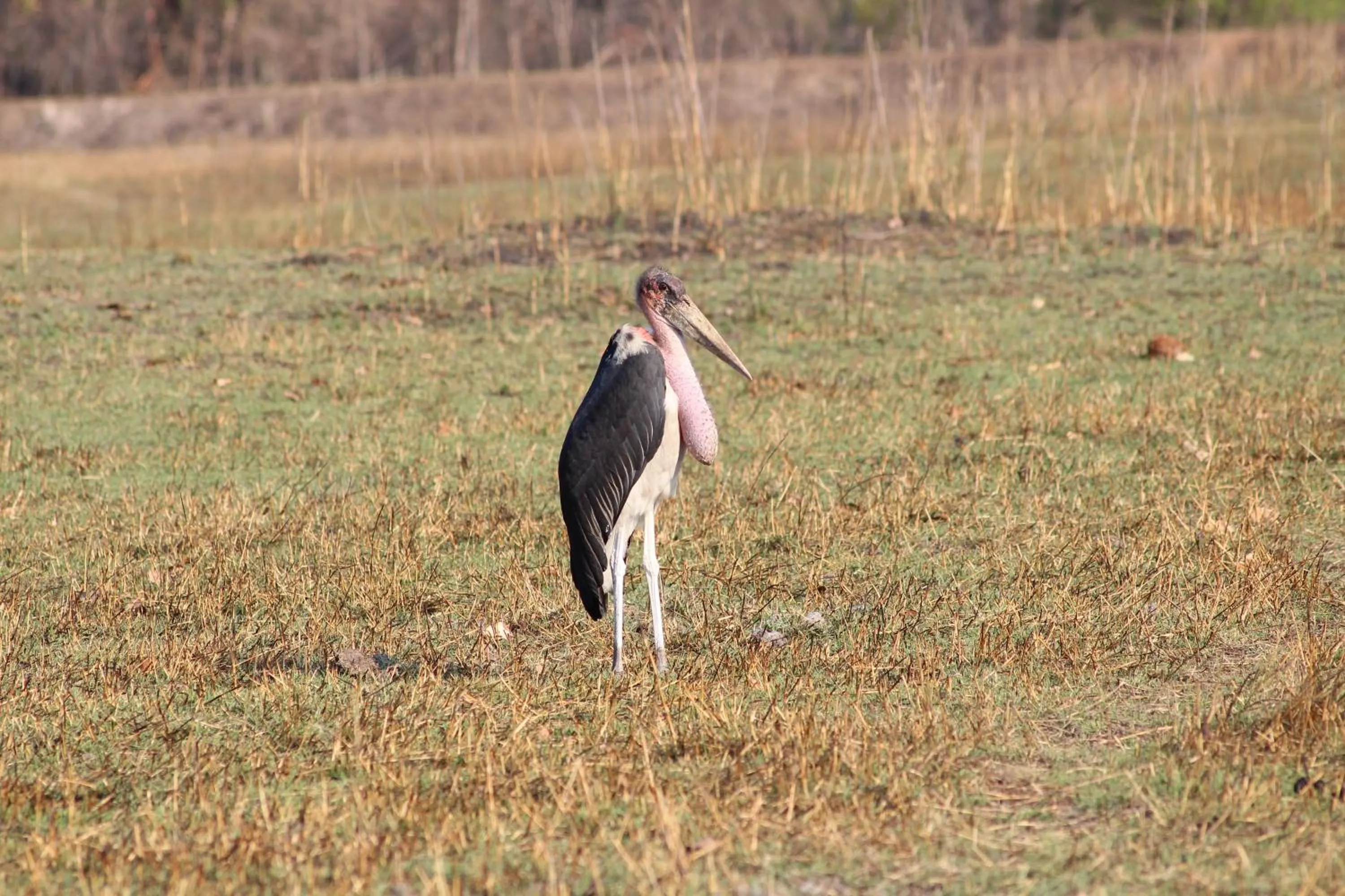 Activities in Chaminuka Lodge