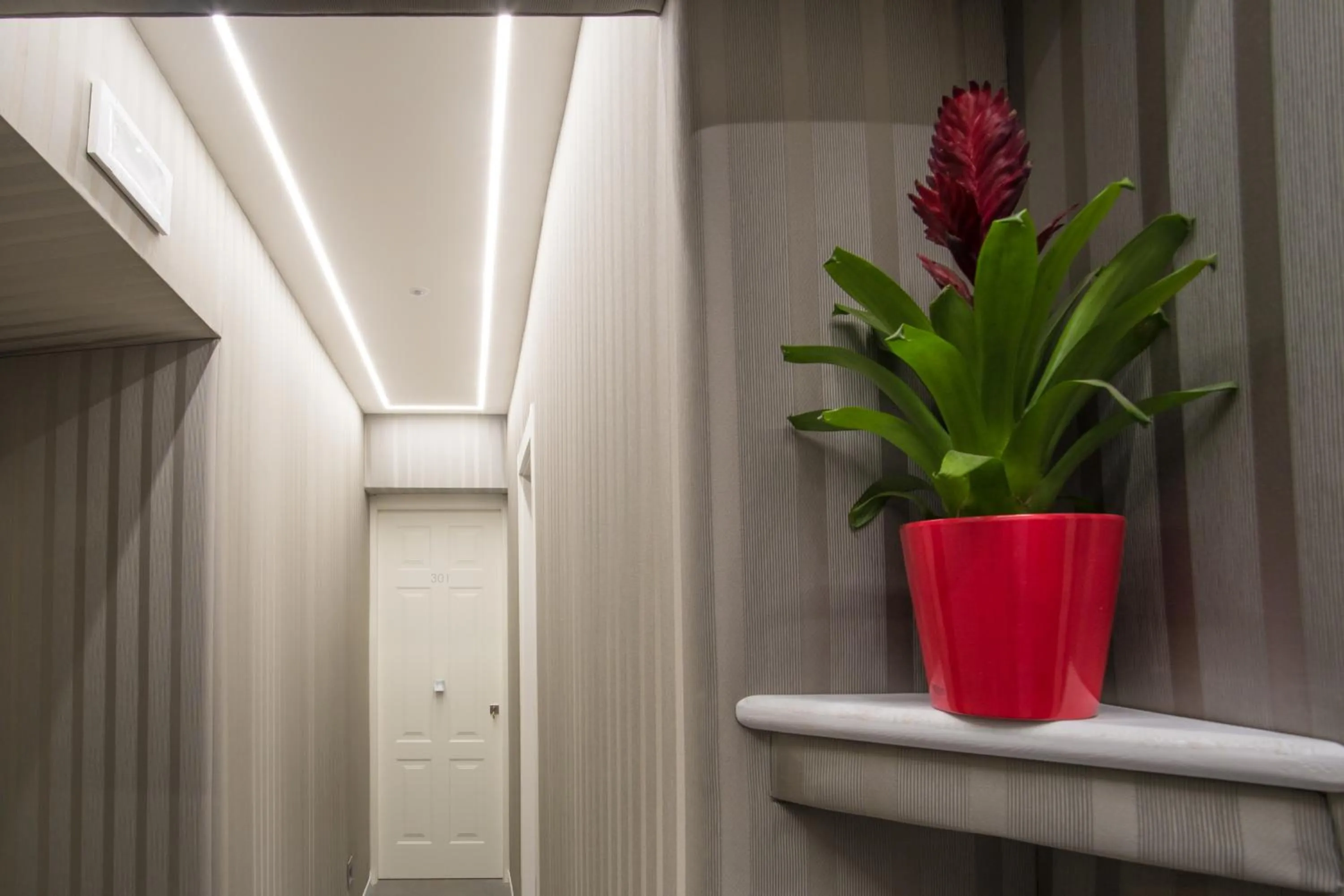 Decorative detail in Roma 2B