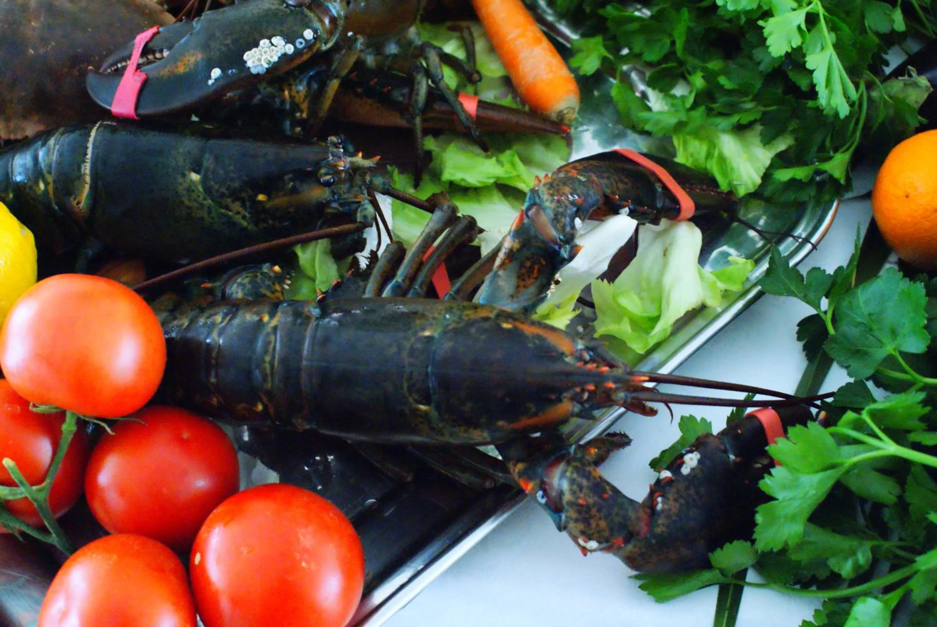 Food close-up in Hotel Marina
