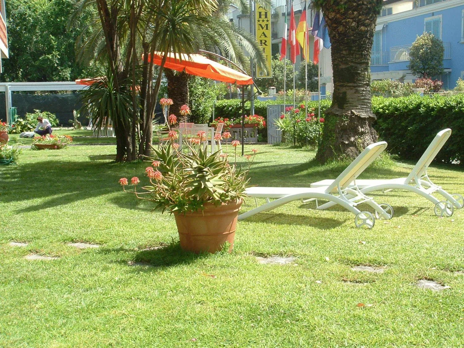 Garden in Hotel Marina