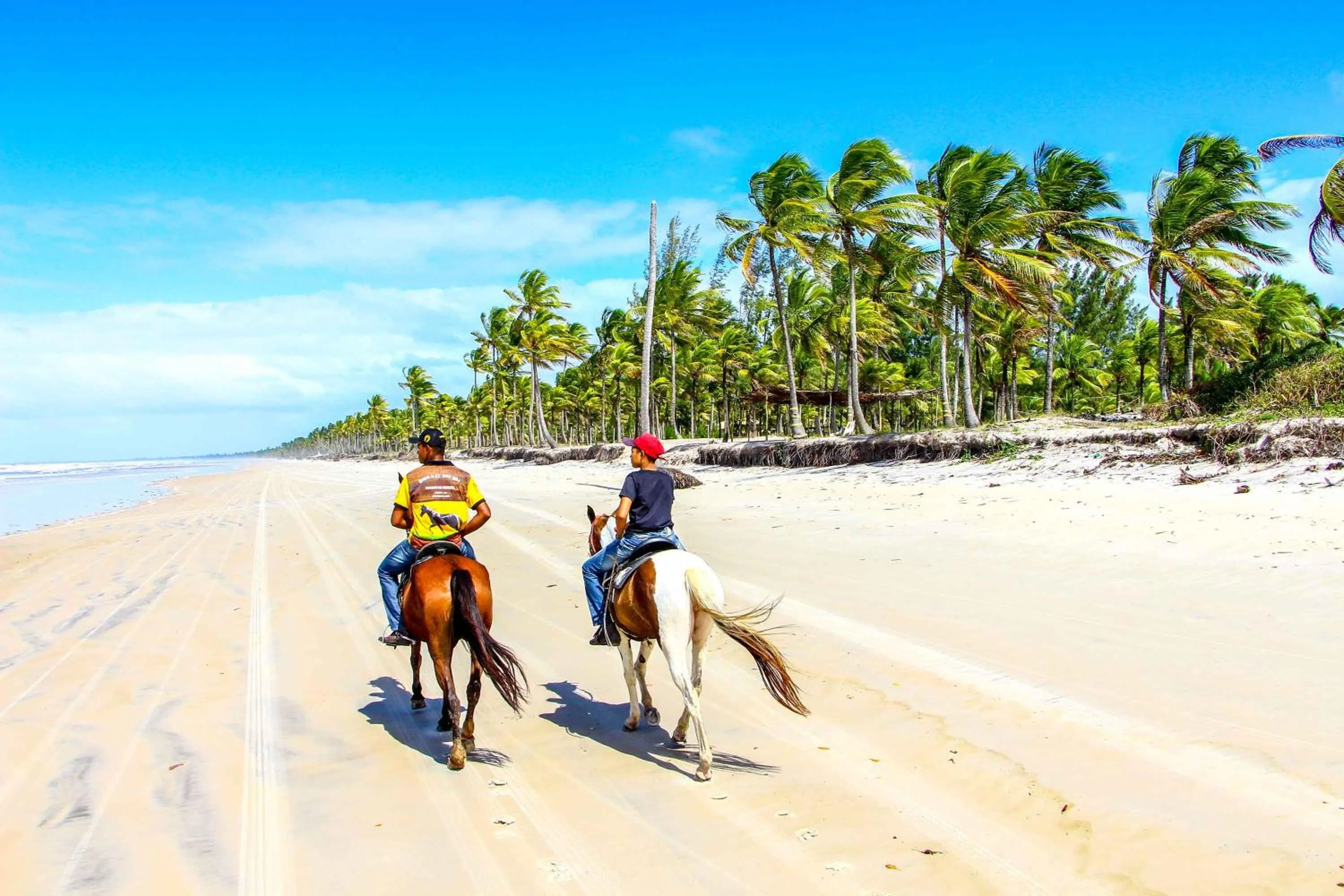 Day in Makaira Beach Resort