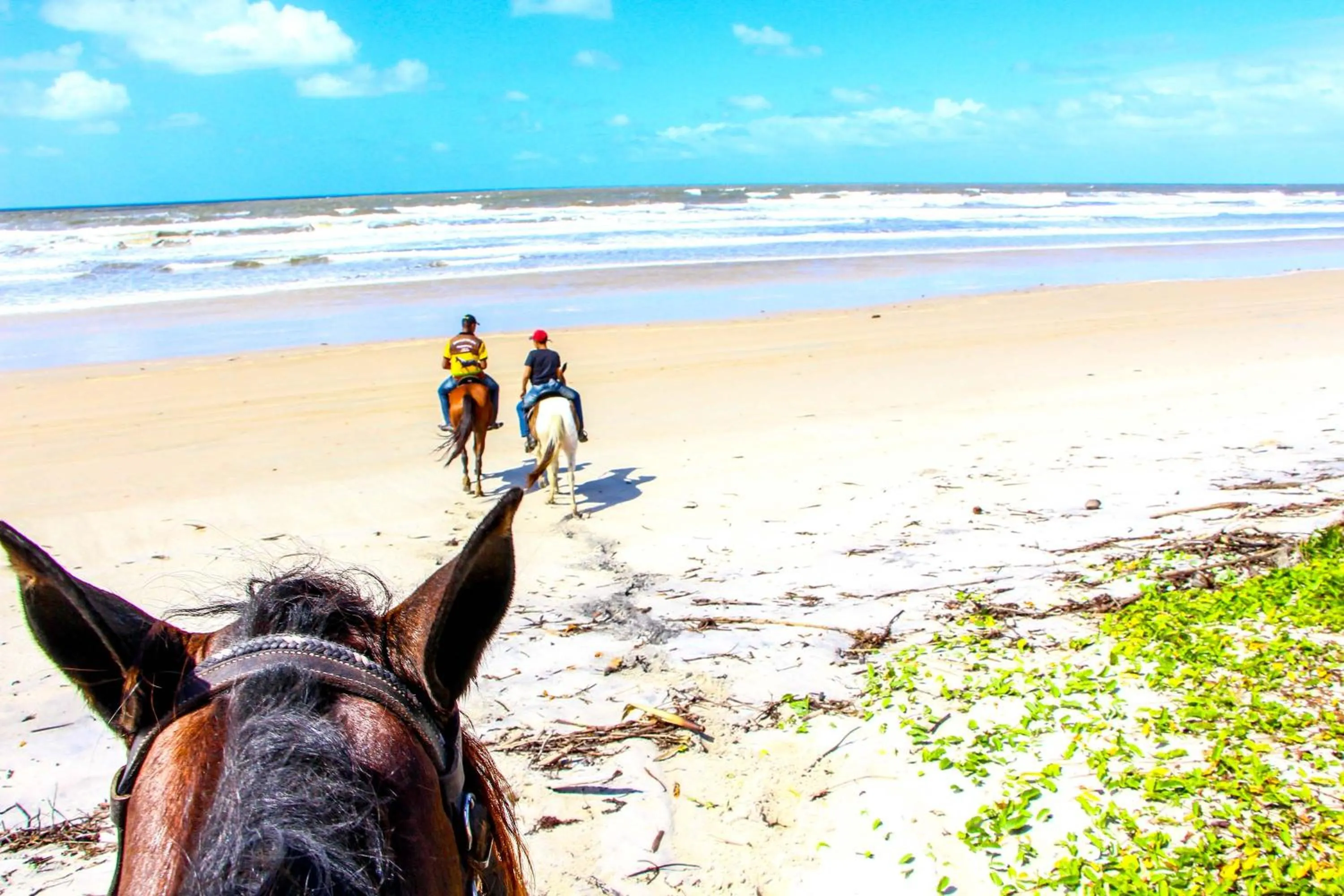 Day in Makaira Beach Resort