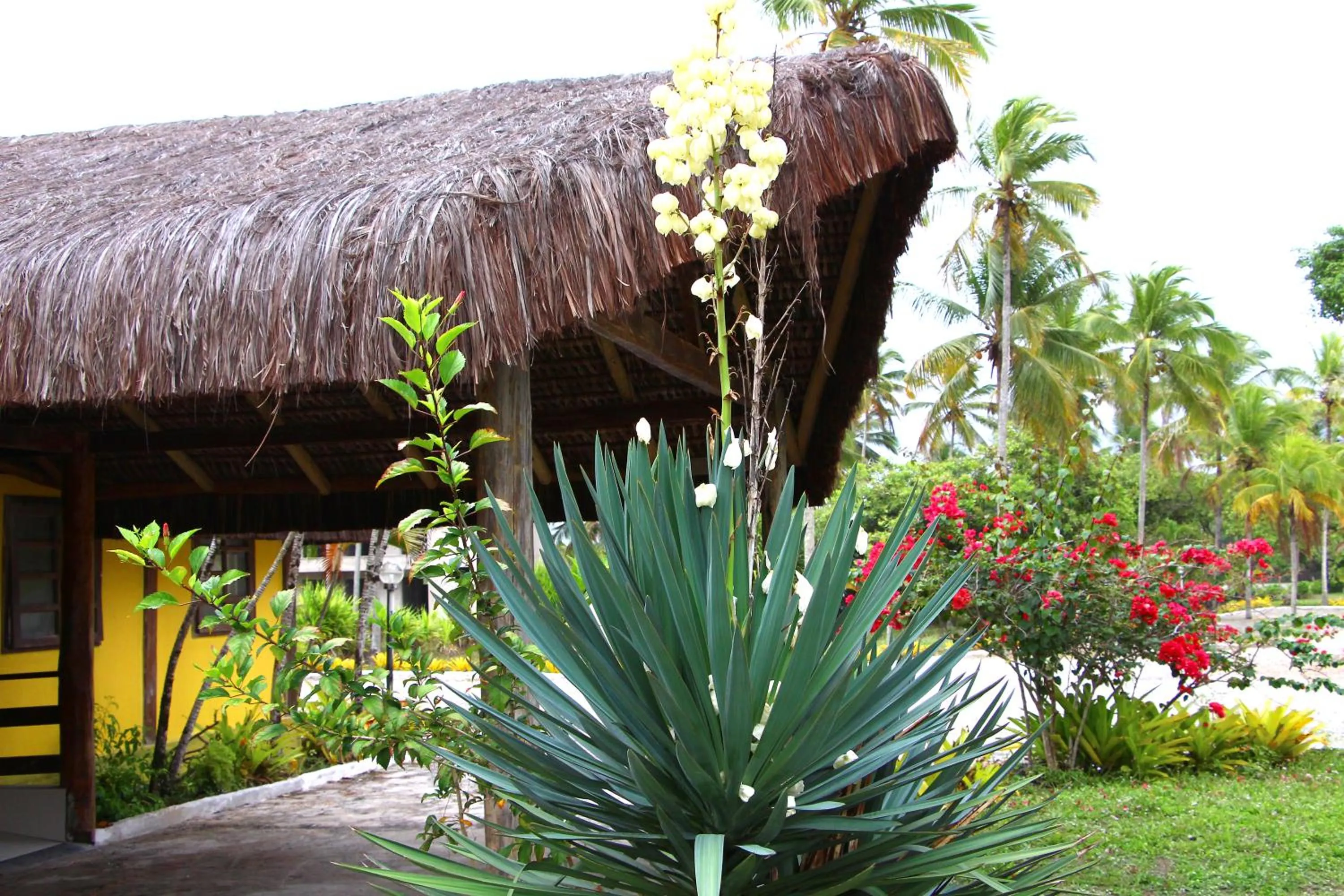 Garden in Makaira Beach Resort