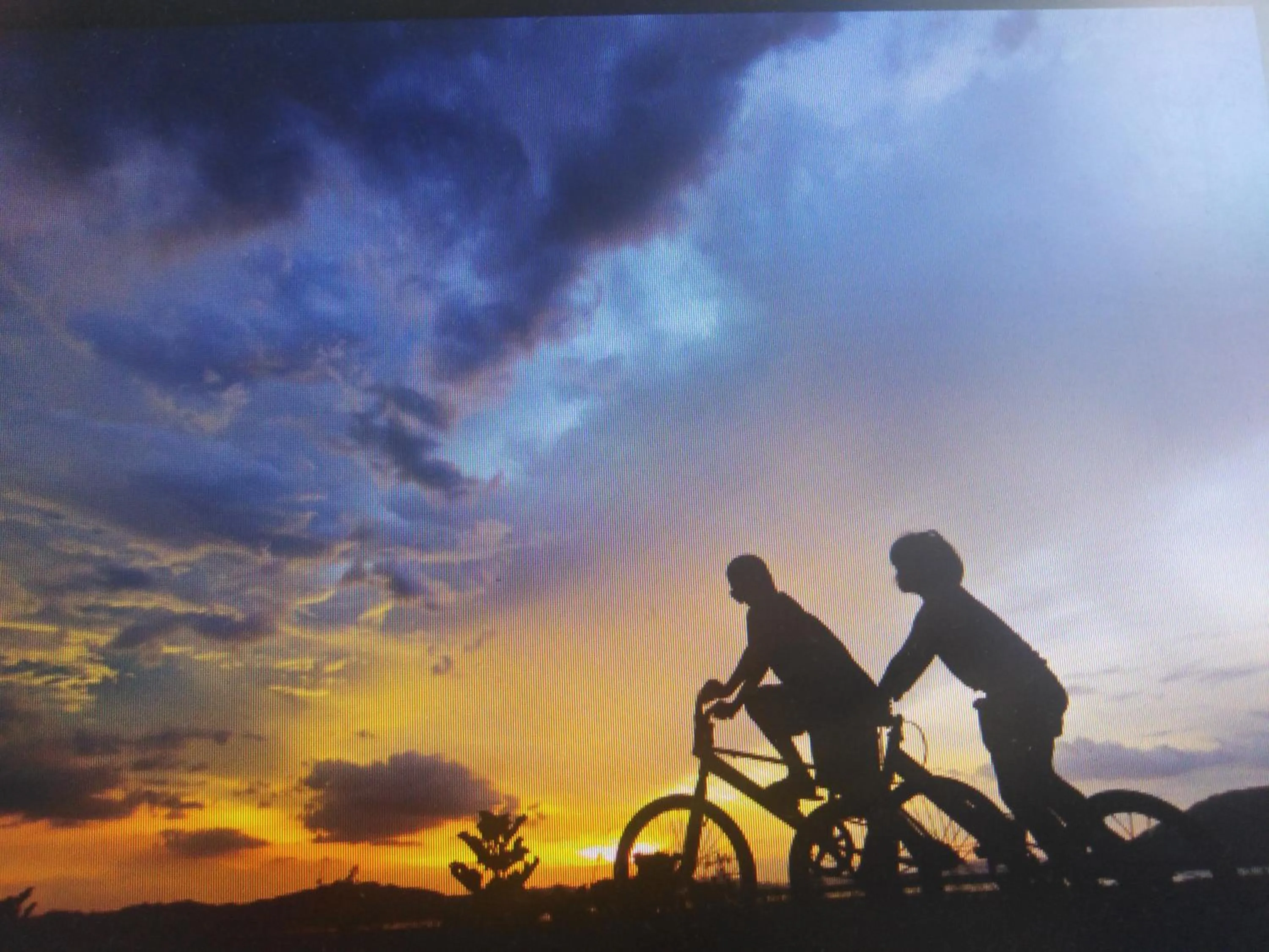 Cycling in La Llar de Laura