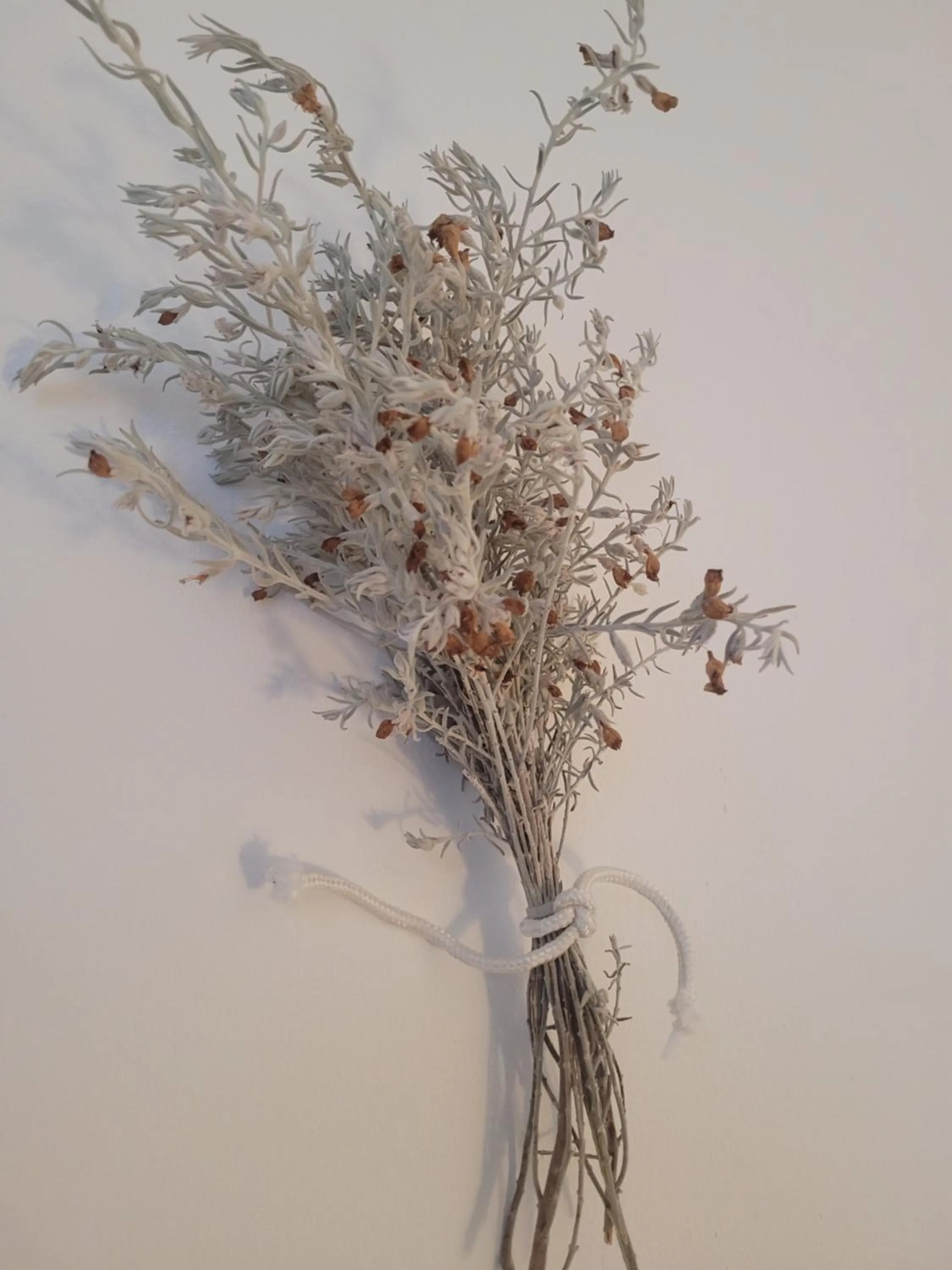 Decorative detail in La Llar de Laura