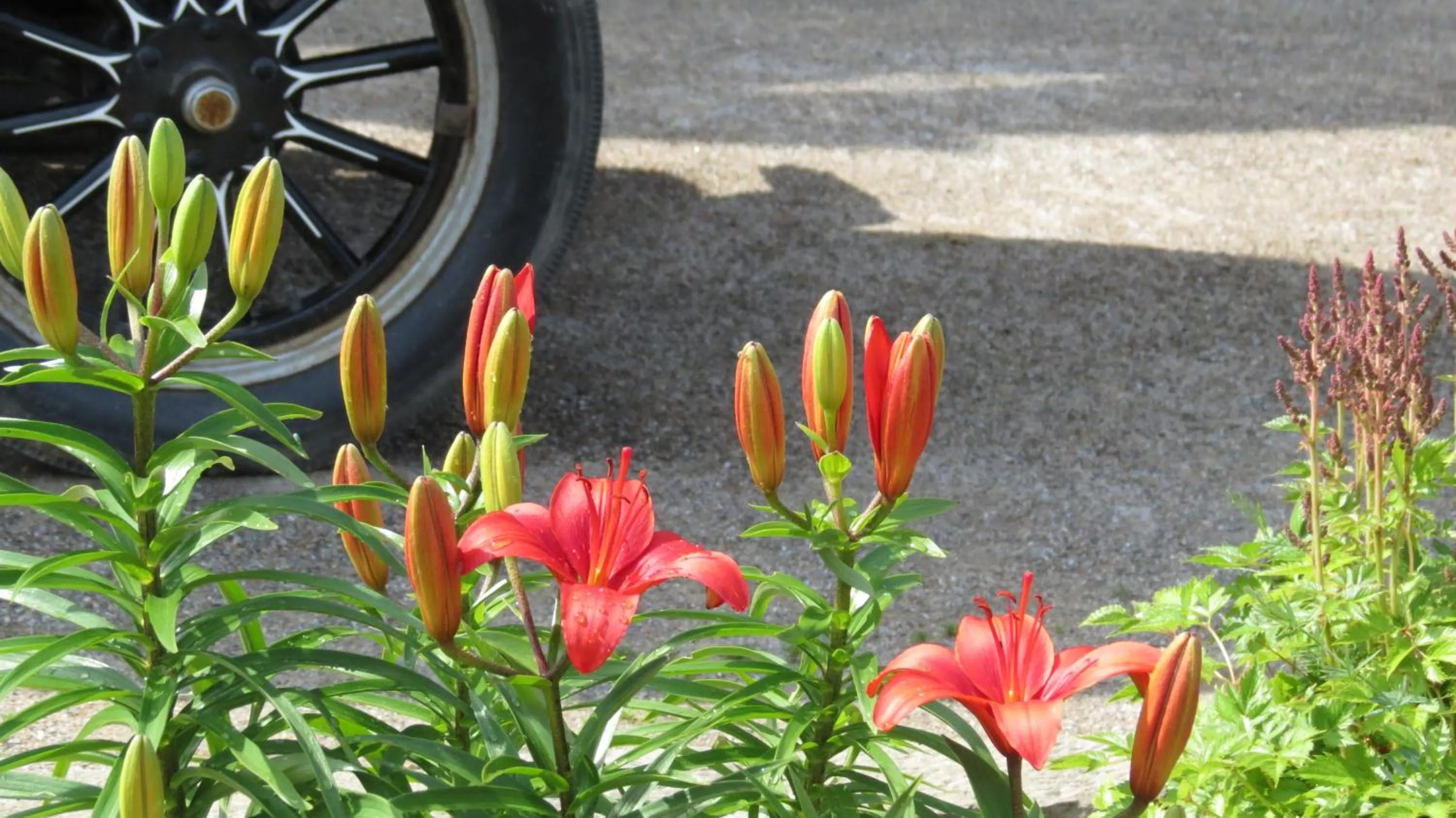 Spring in Hôtel Château Albert