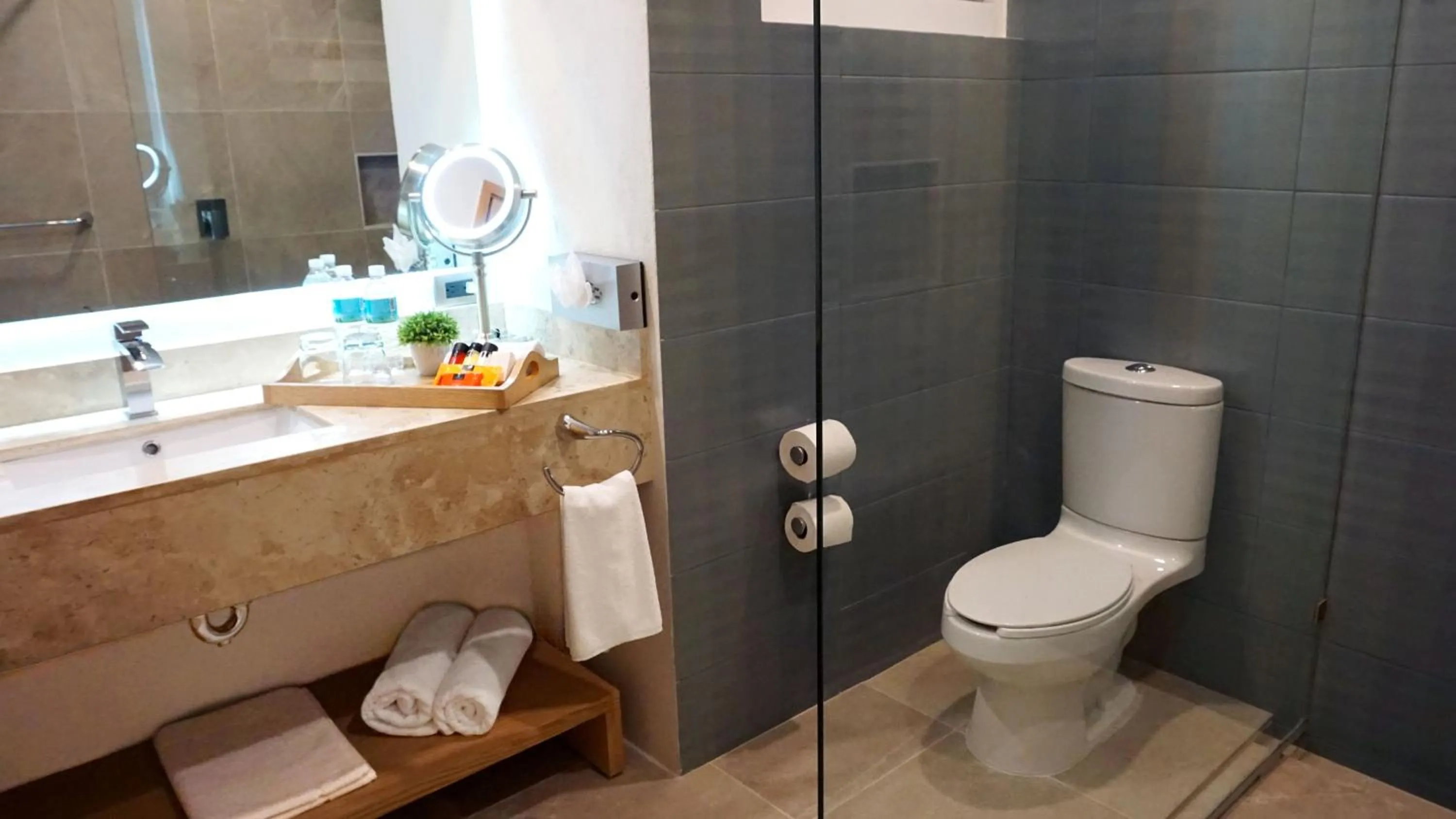 Bathroom in Hit Hoteles Aeropuerto Puebla