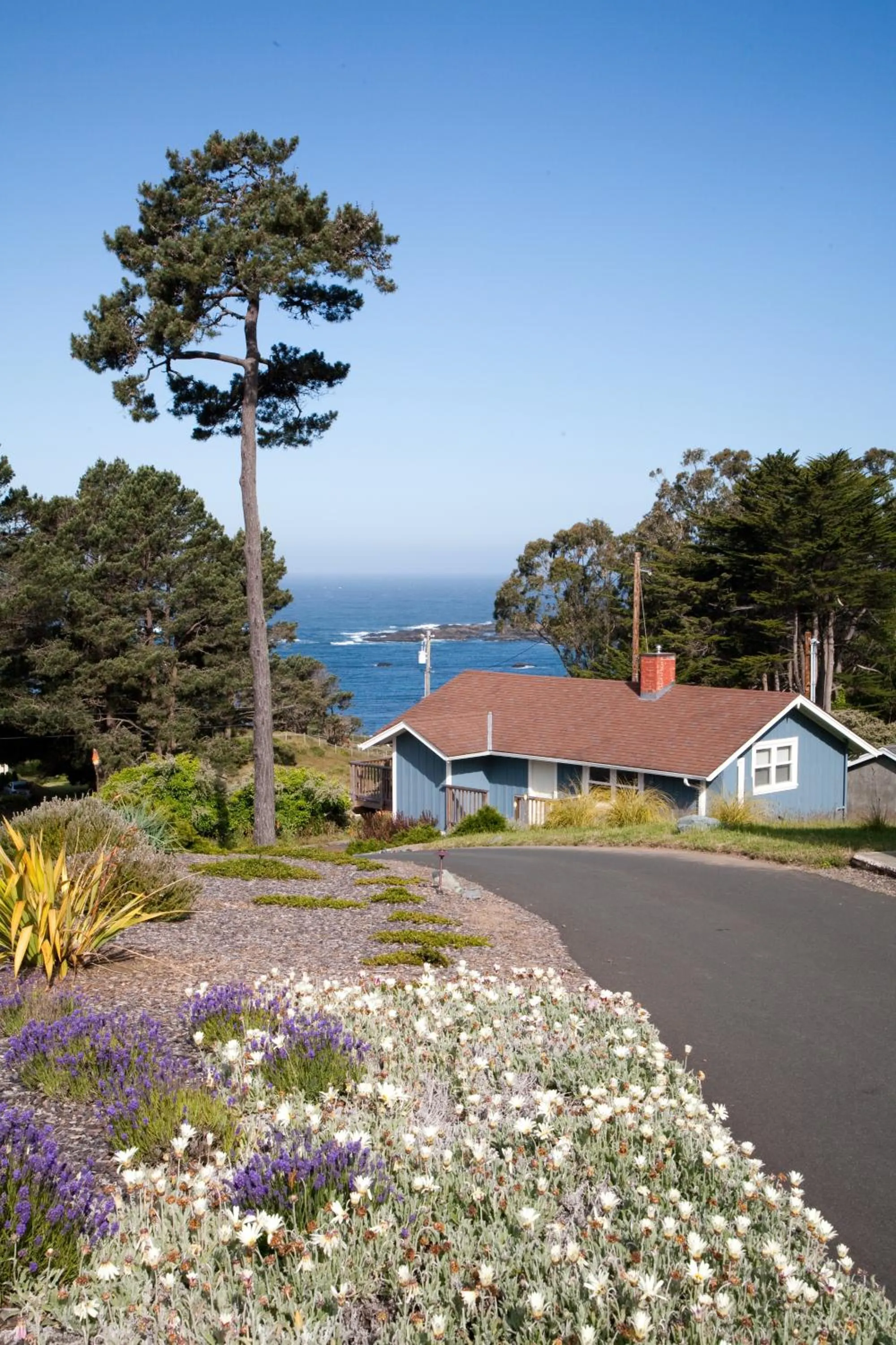 Sea view in Cottages at Little River Cove
