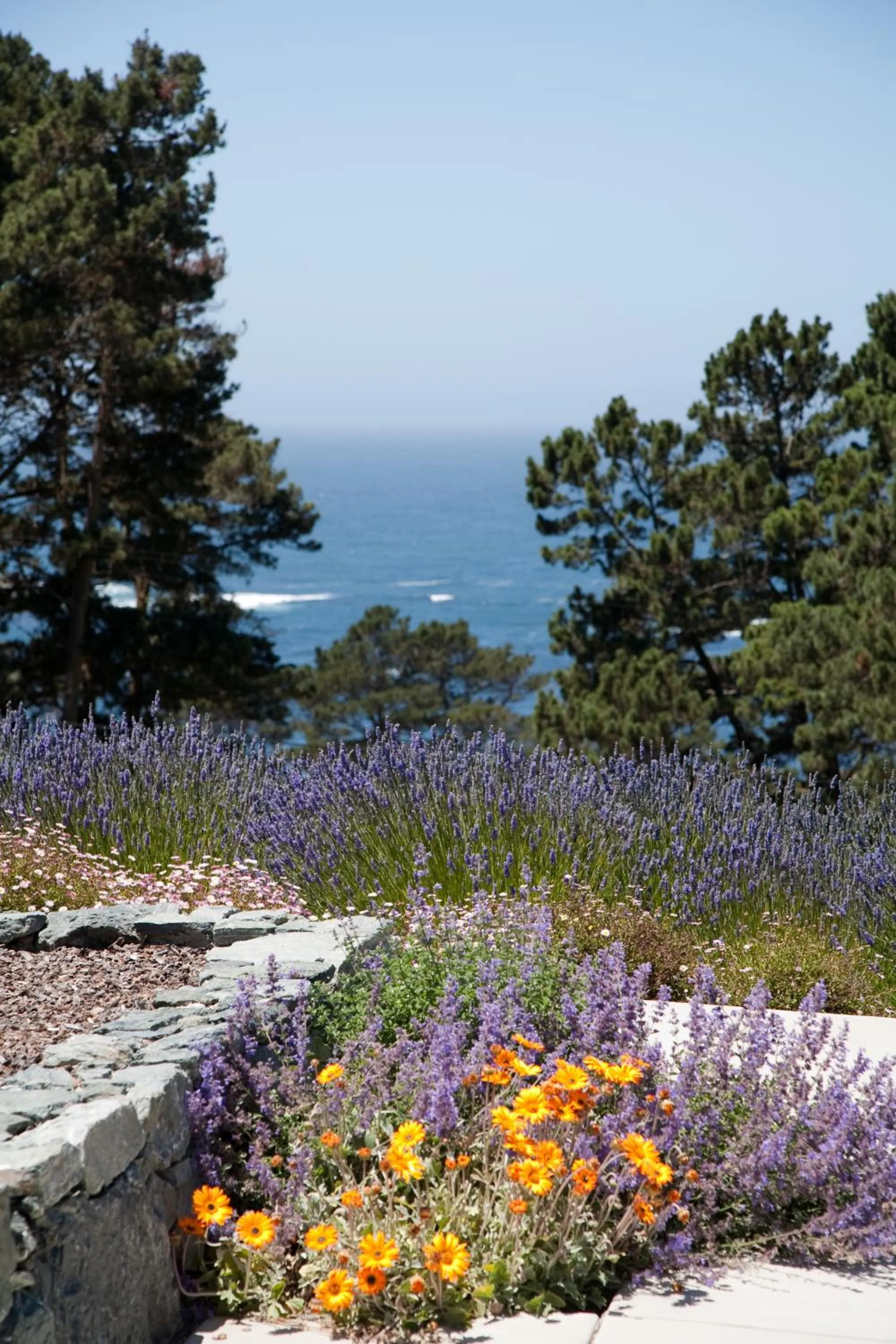 Garden view in Cottages at Little River Cove