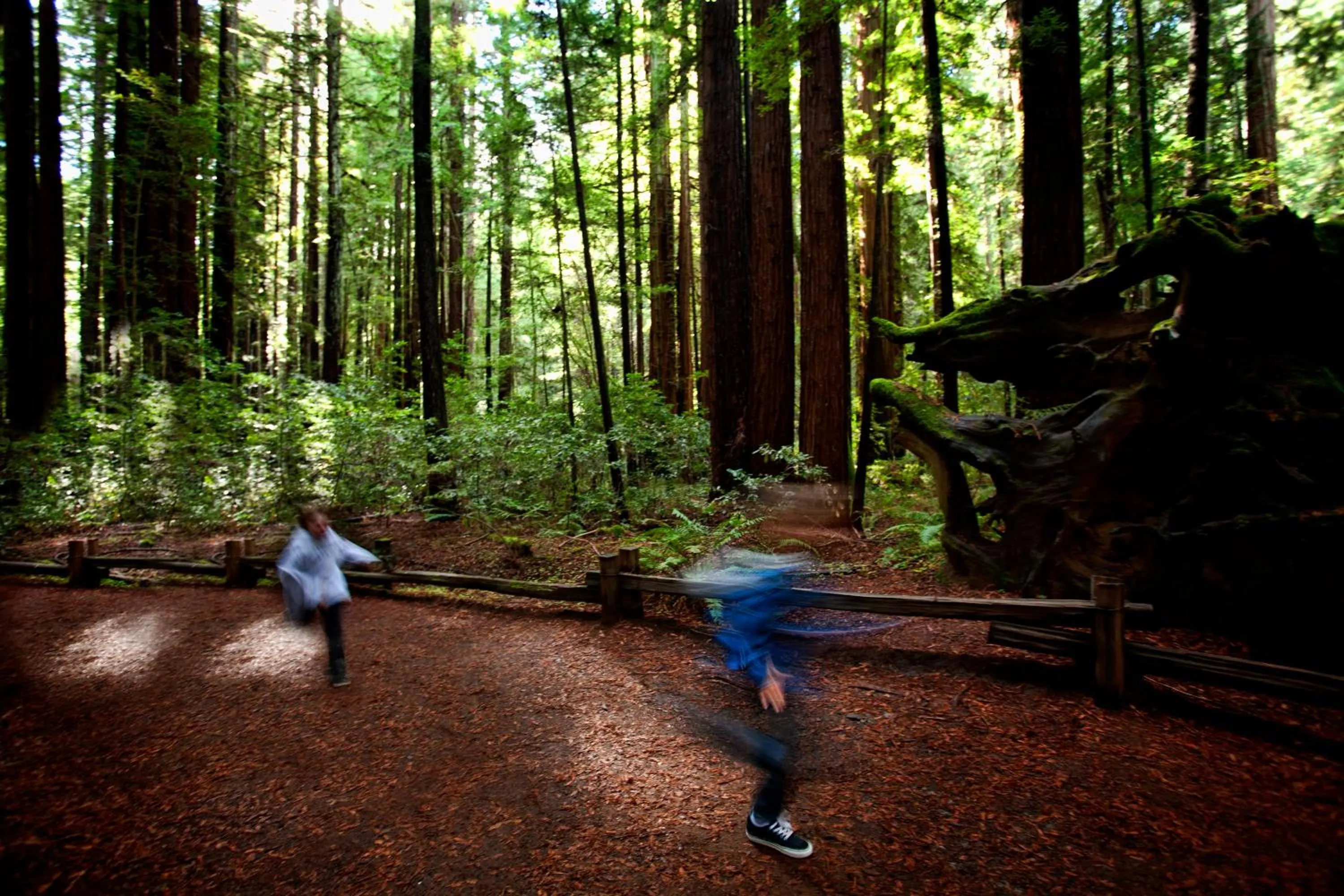 Neighbourhood in Cottages at Little River Cove