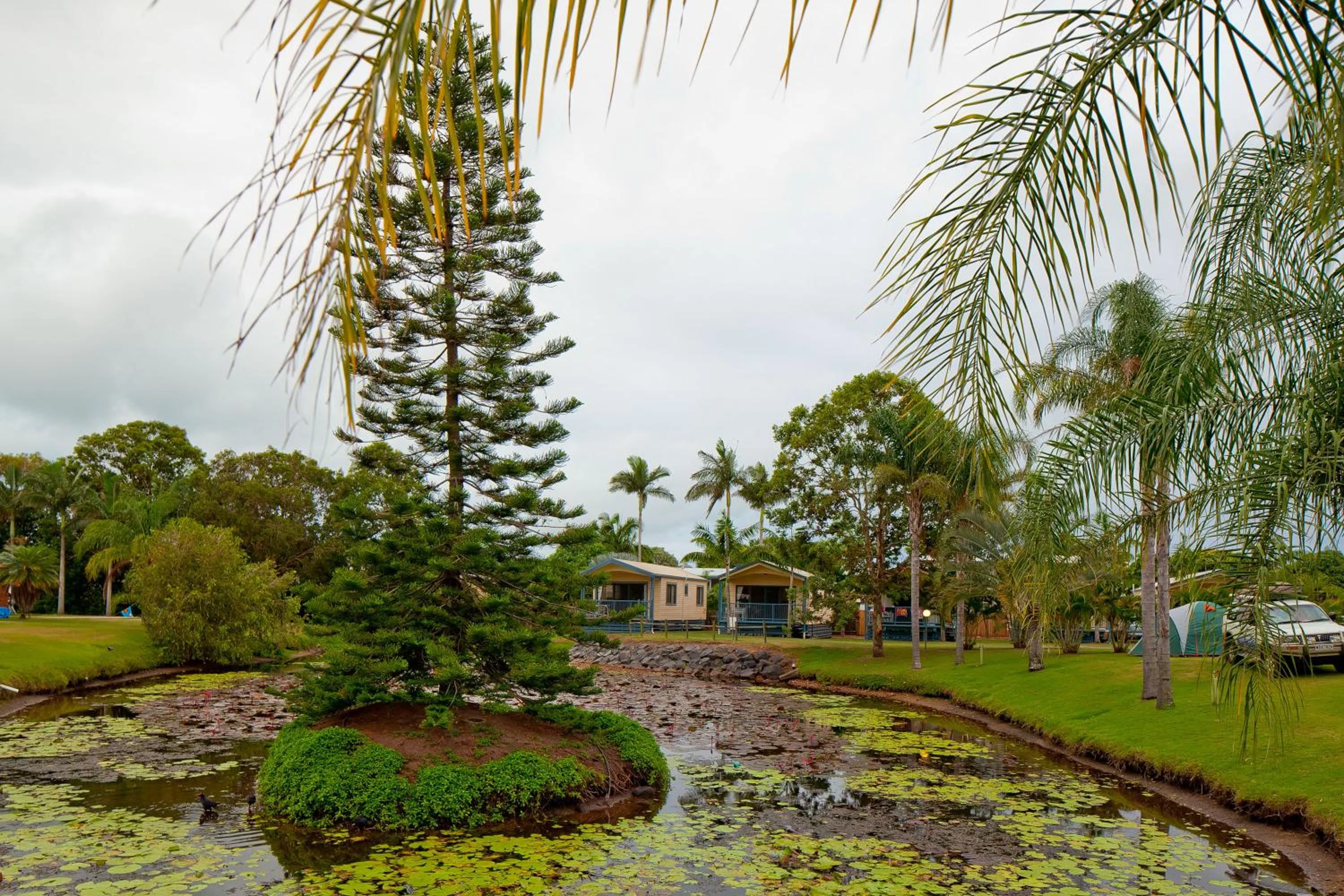 Garden view in Discovery Parks - Fraser Street, Hervey Bay