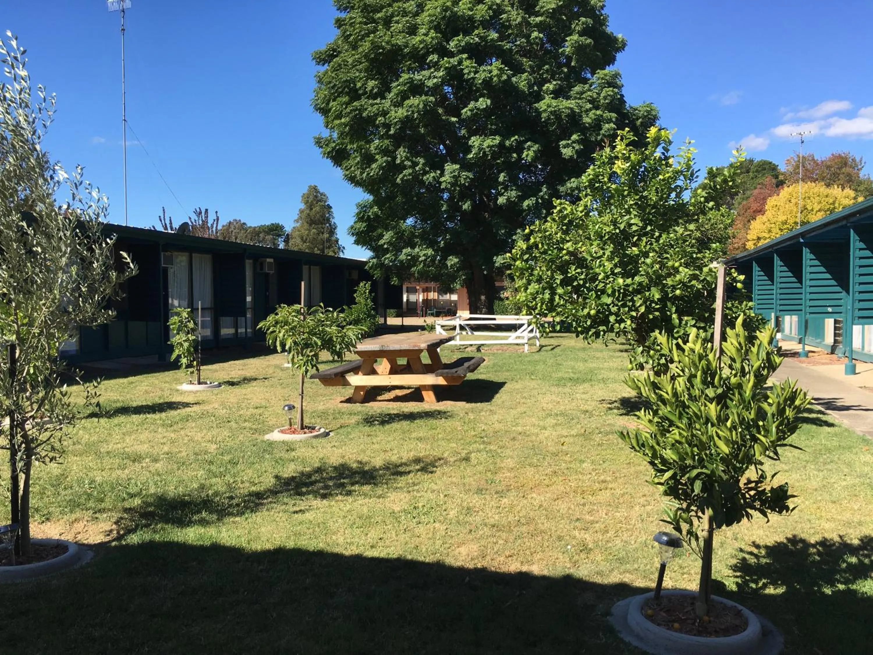 Garden in Rubicon Hotel Motel