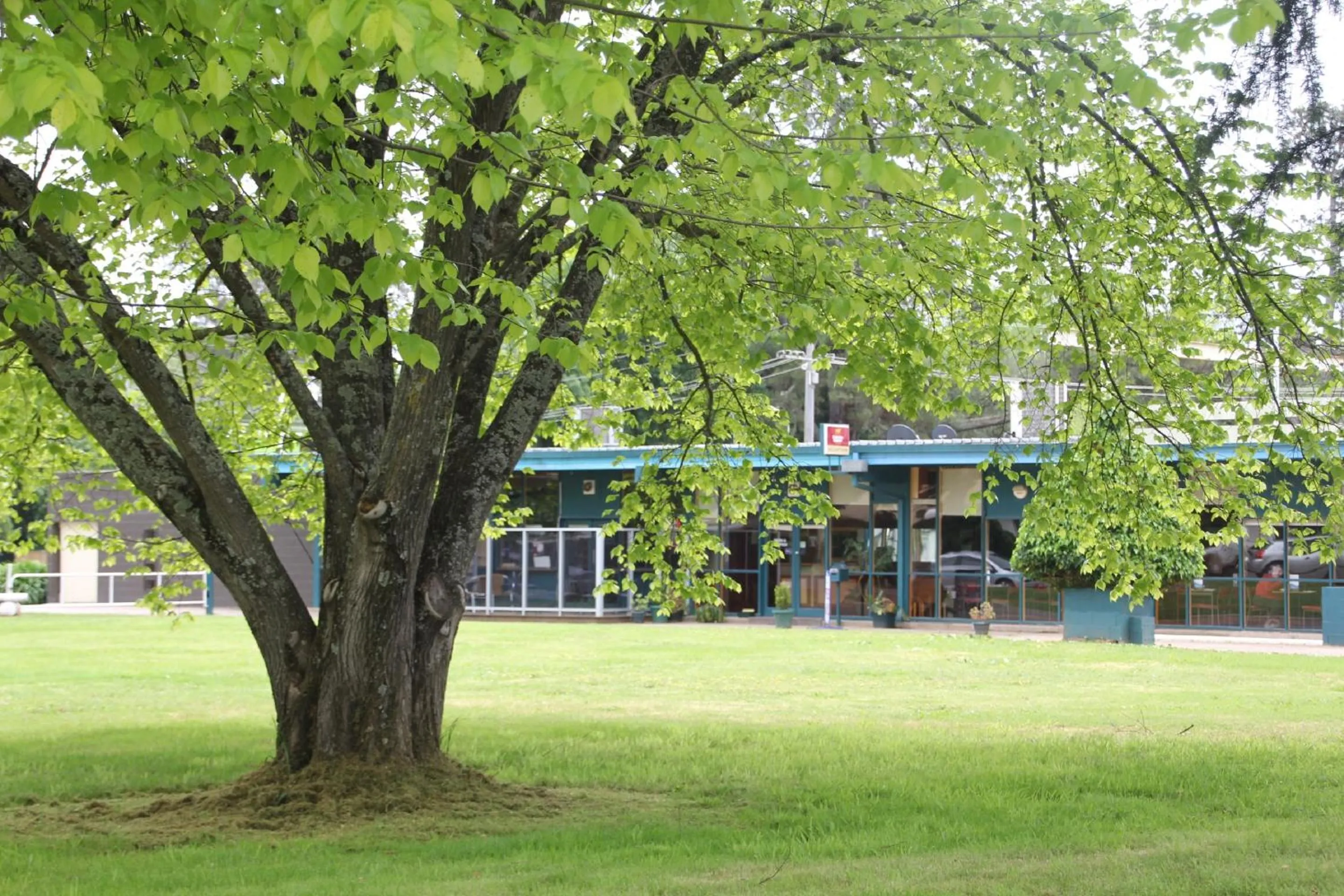 Garden in Rubicon Hotel Motel