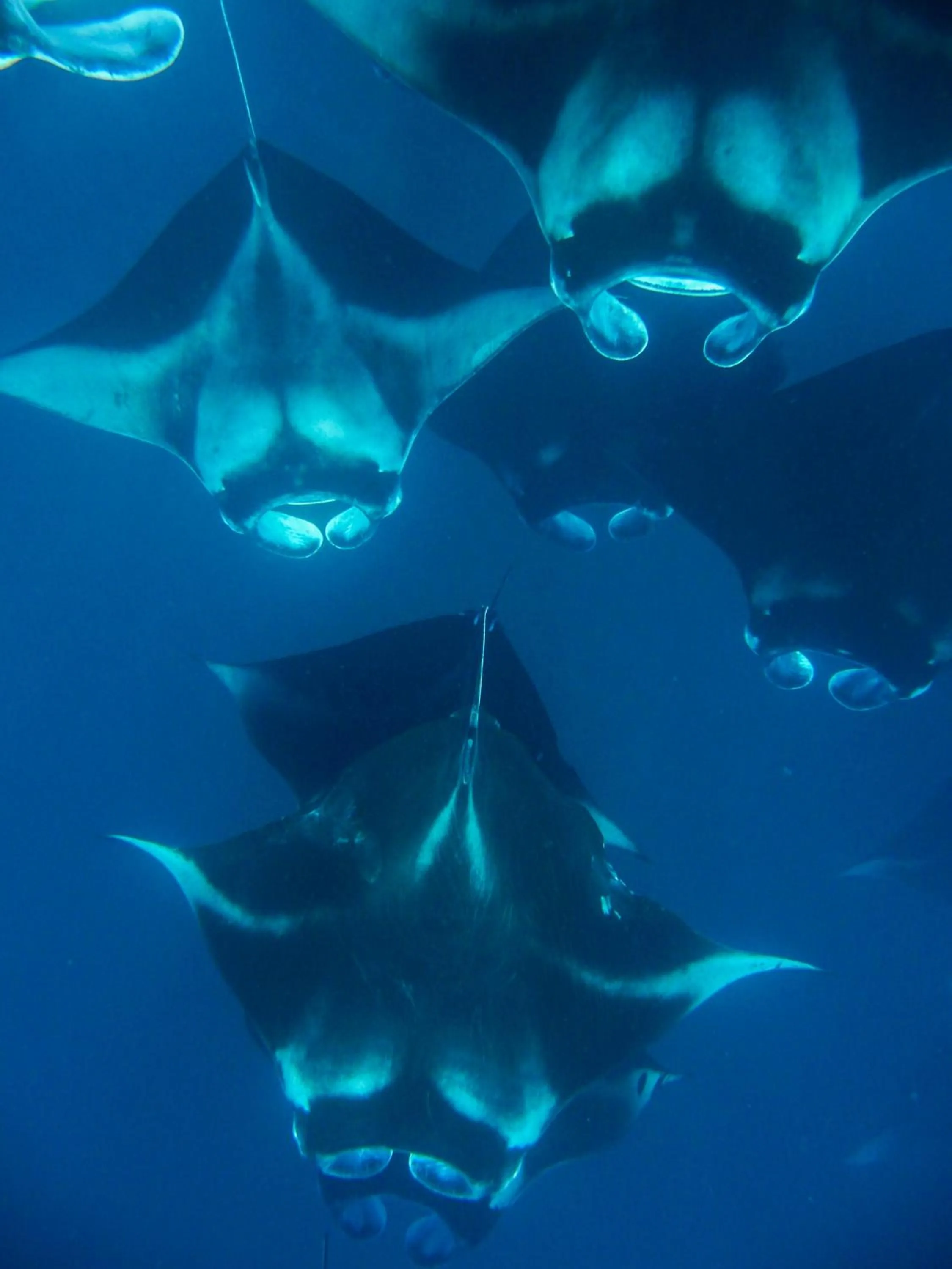 Nearby landmark in Milaidhoo Maldives