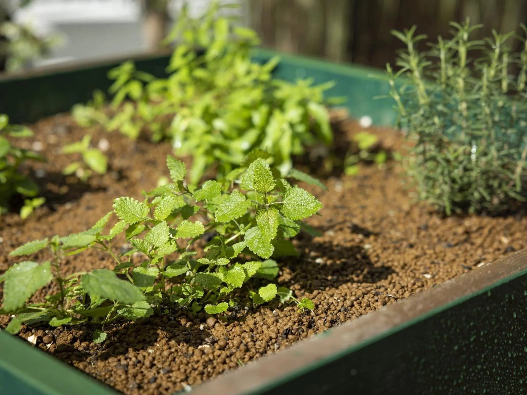 Area and facilities in Hotel Wing International Select Hakata-Ekimae