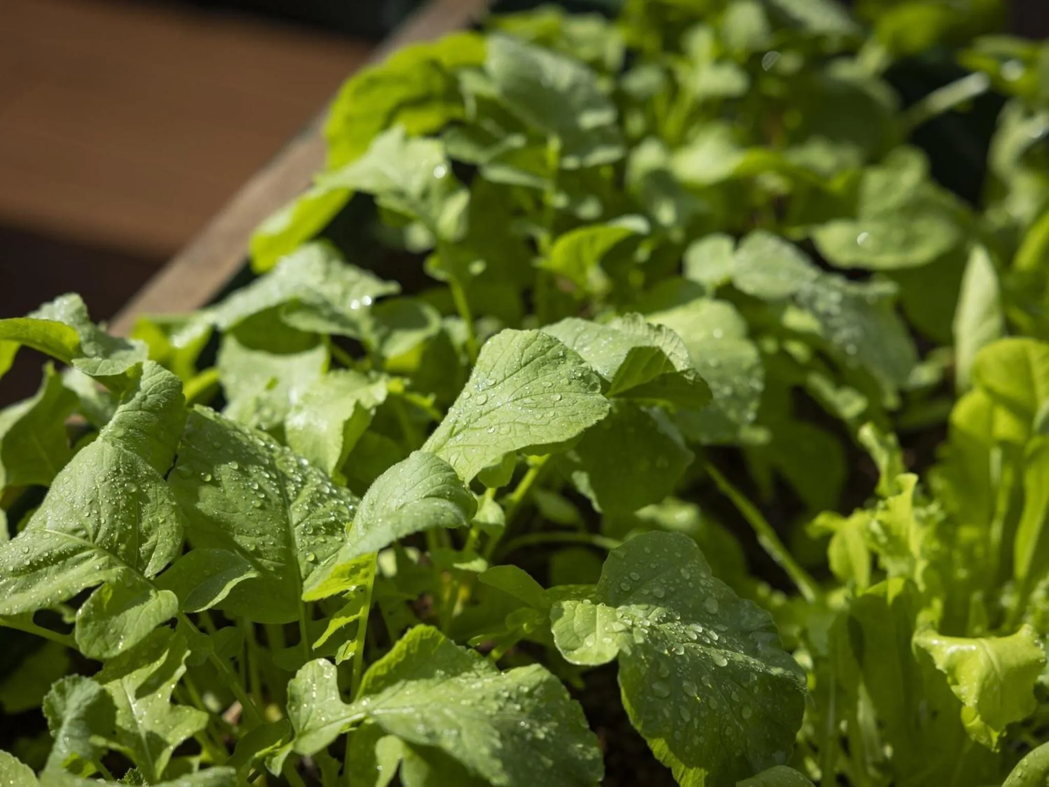 Area and facilities in Hotel Wing International Select Hakata-Ekimae