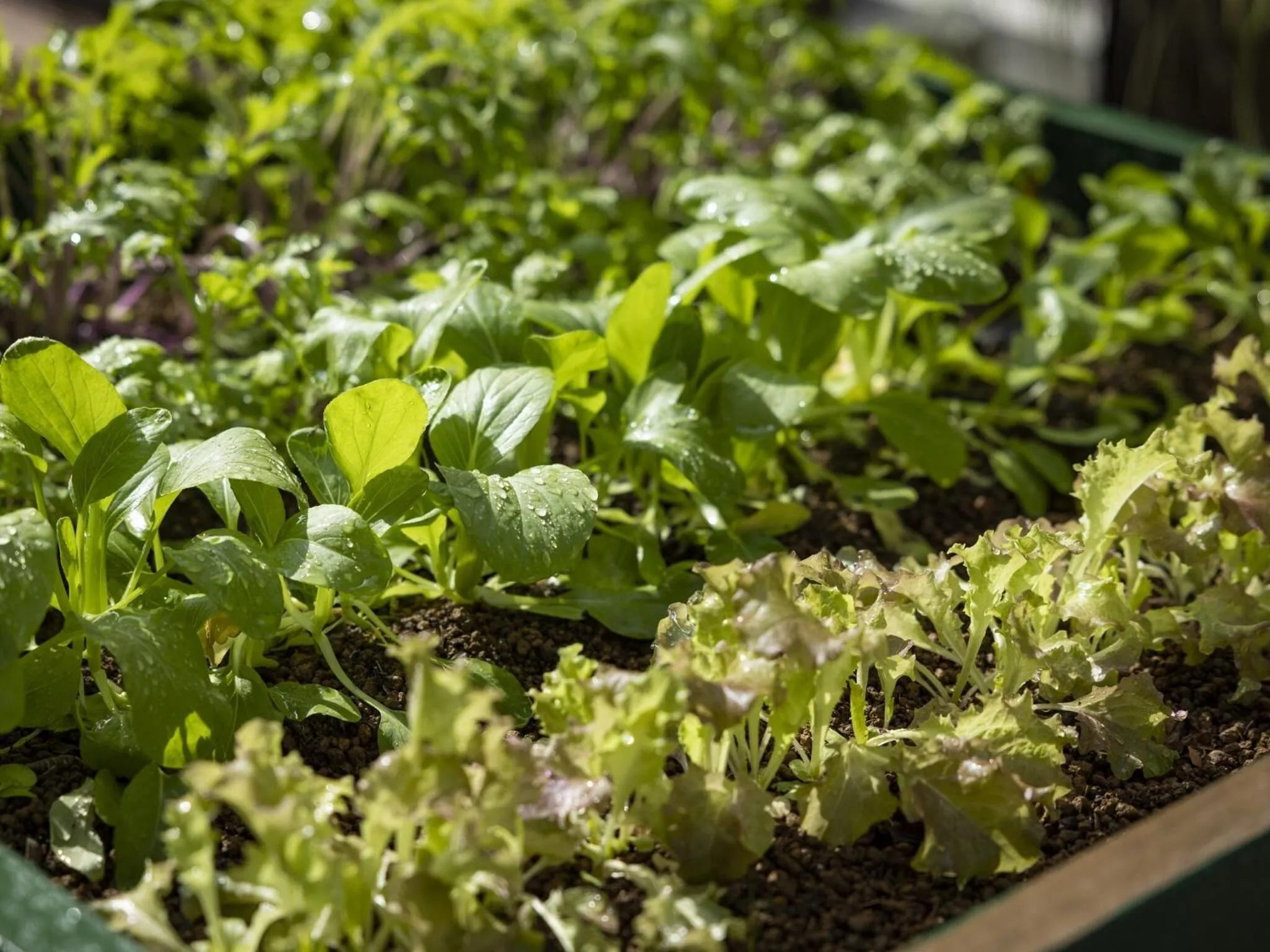 Area and facilities in Hotel Wing International Select Hakata-Ekimae