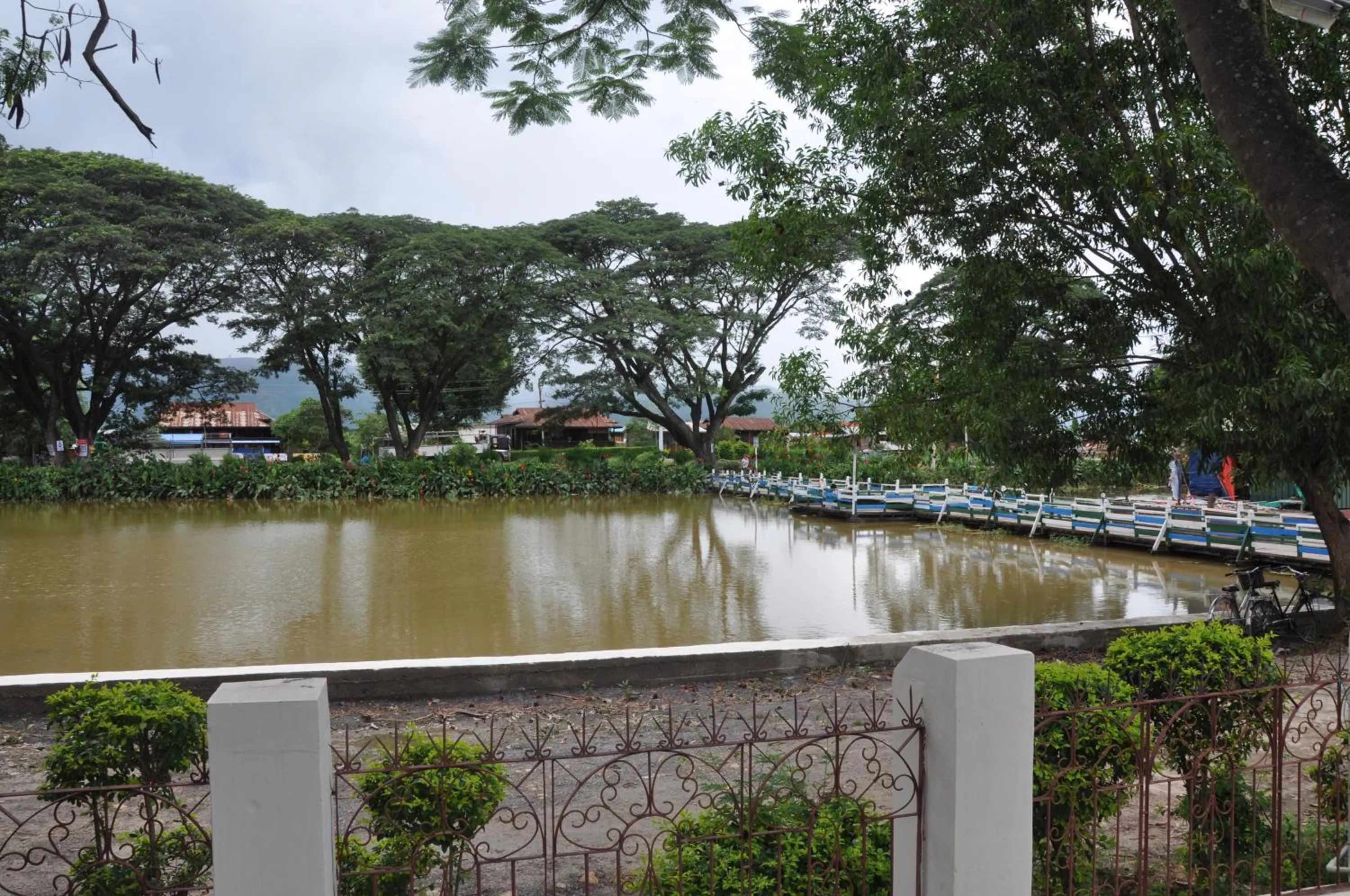 Natural landscape in Trinity Family Inn