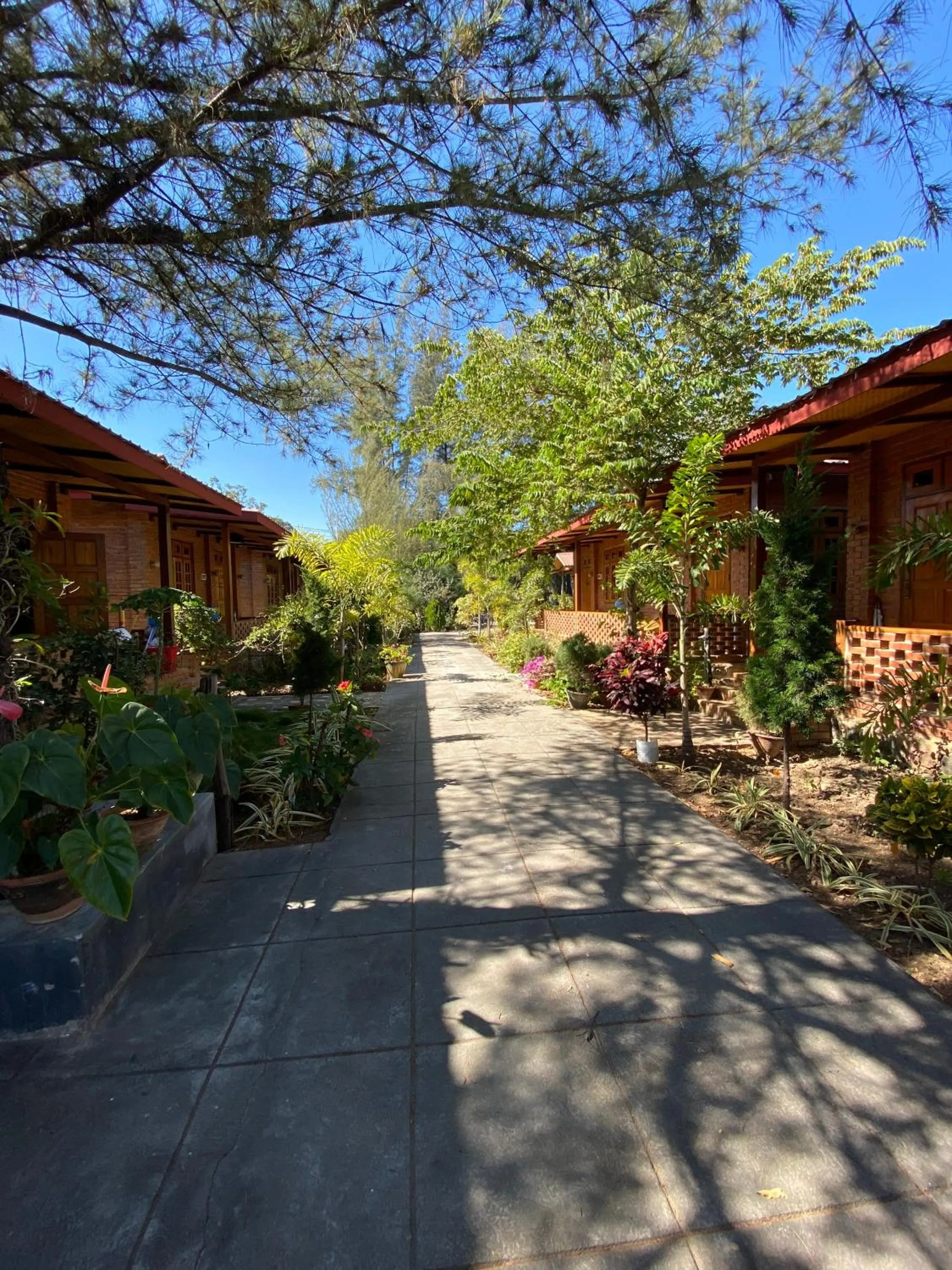 Garden in Trinity Family Inn