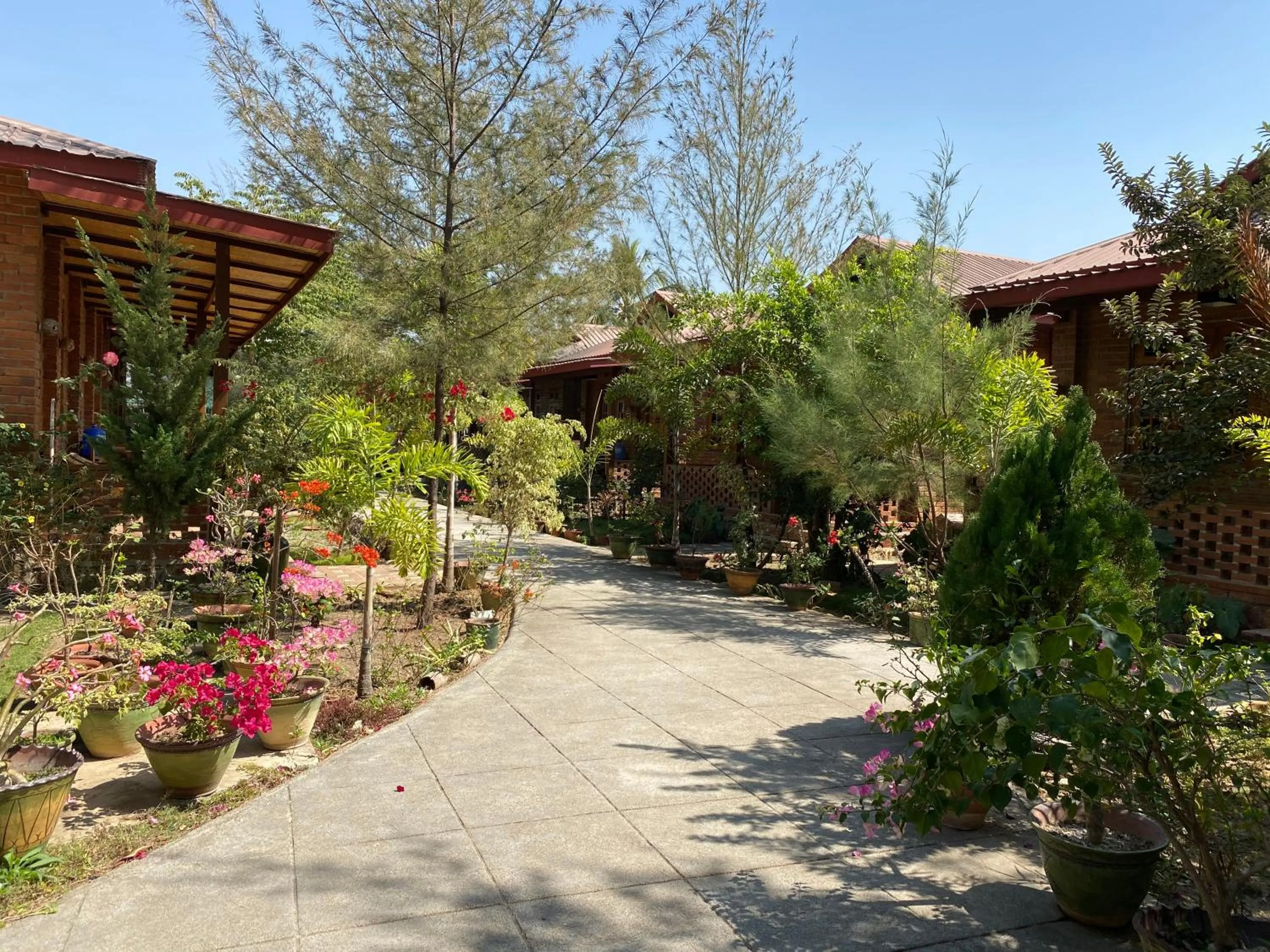 View (from property/room) in Trinity Family Inn