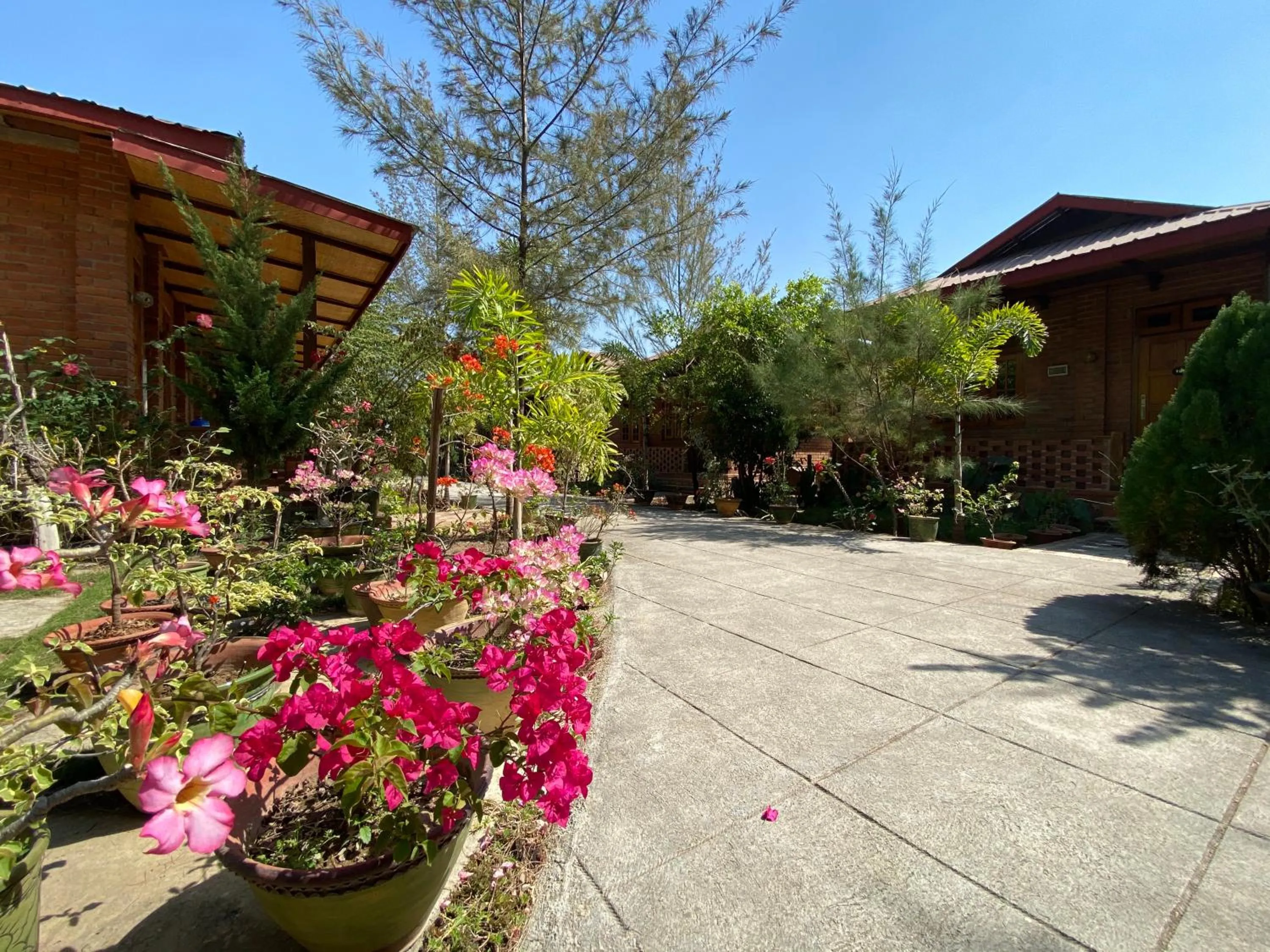 Garden view in Trinity Family Inn