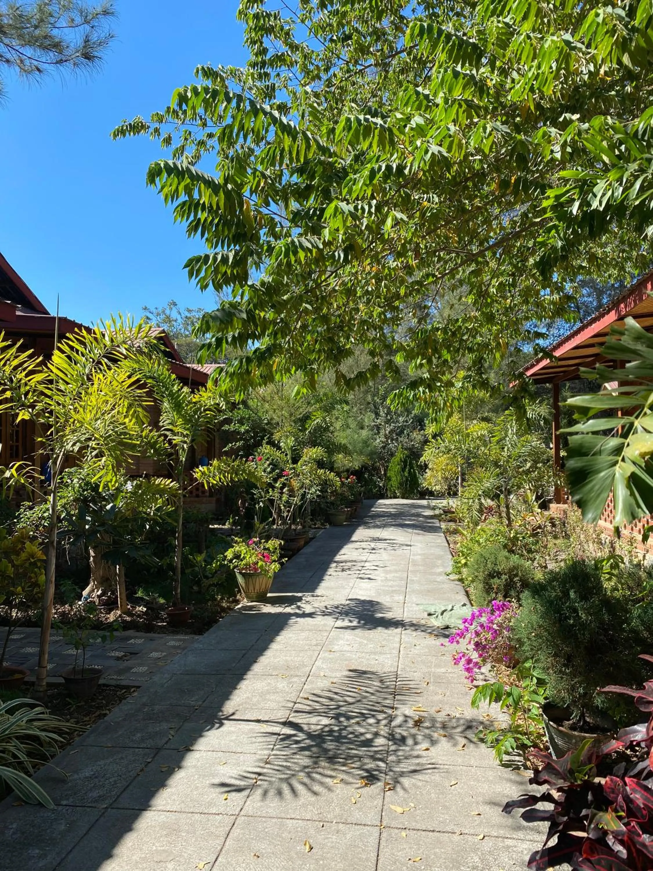 View (from property/room) in Trinity Family Inn