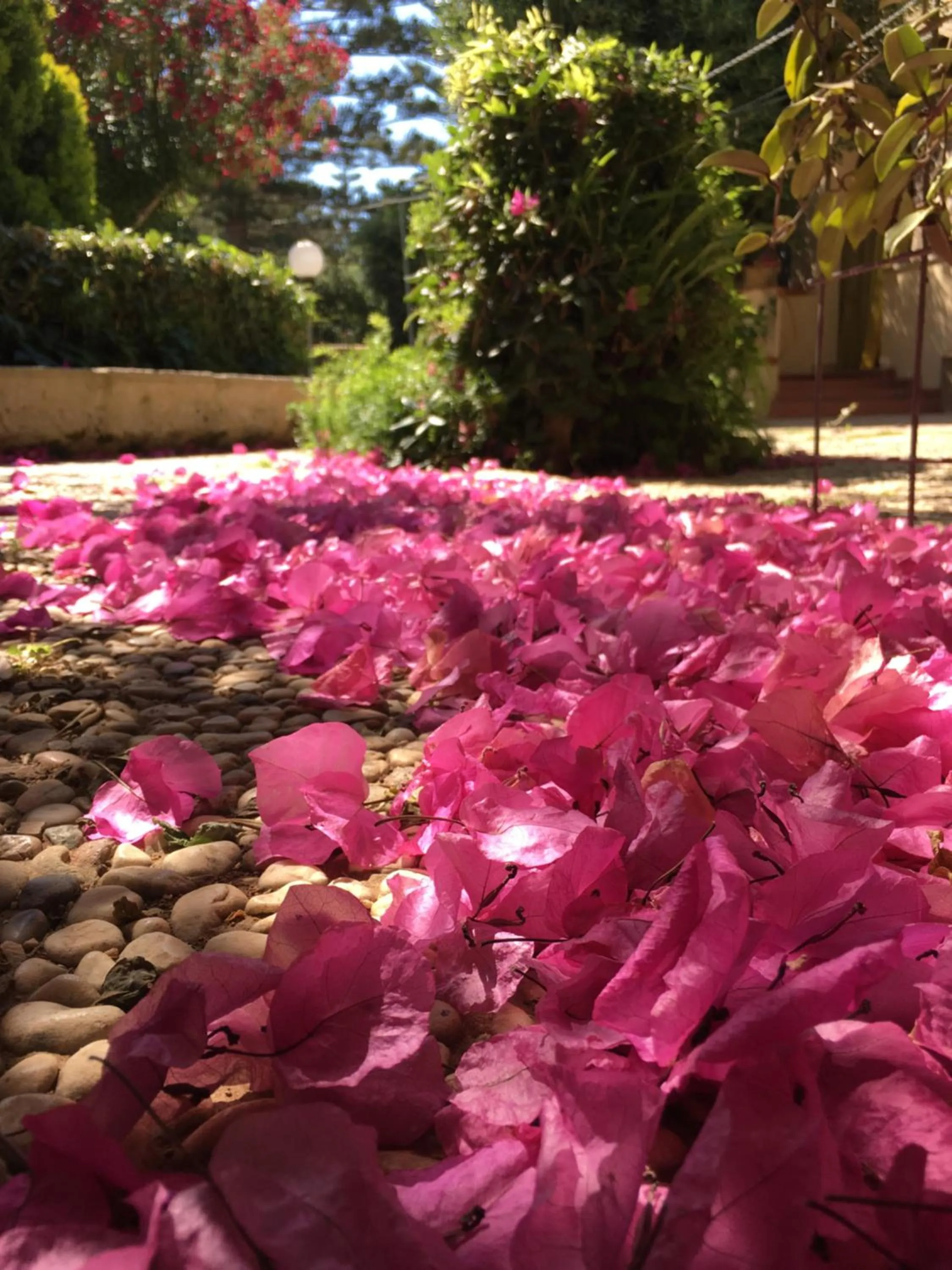 Villa Margherita Residence